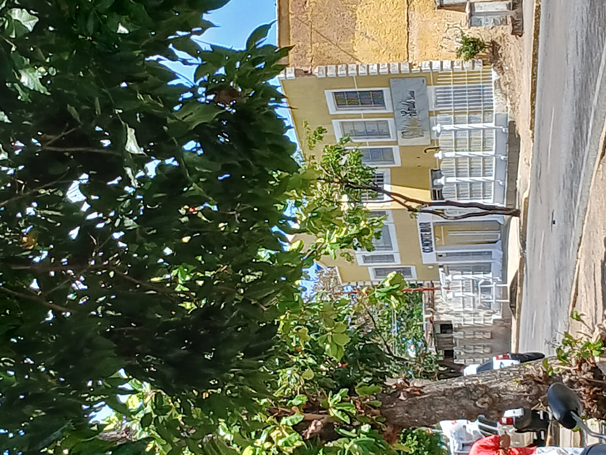 The image depicts a street scene in Juan Griego, Venezuela, partially obscured by foliage from a large tree on the left. A multi-story building dominates the background, painted in yellow with white architectural details, including what appears to be ironwork balconies or security grilles. Signage indicating "Mi Bella Hotel" and "Cocktail Bar" is visible on the building. A paved road runs along the right side of the building. A parked motorcycle is positioned near the base of the tree in the foreground. The sky is visible through gaps in the tree leaves, indicating a sunny day.