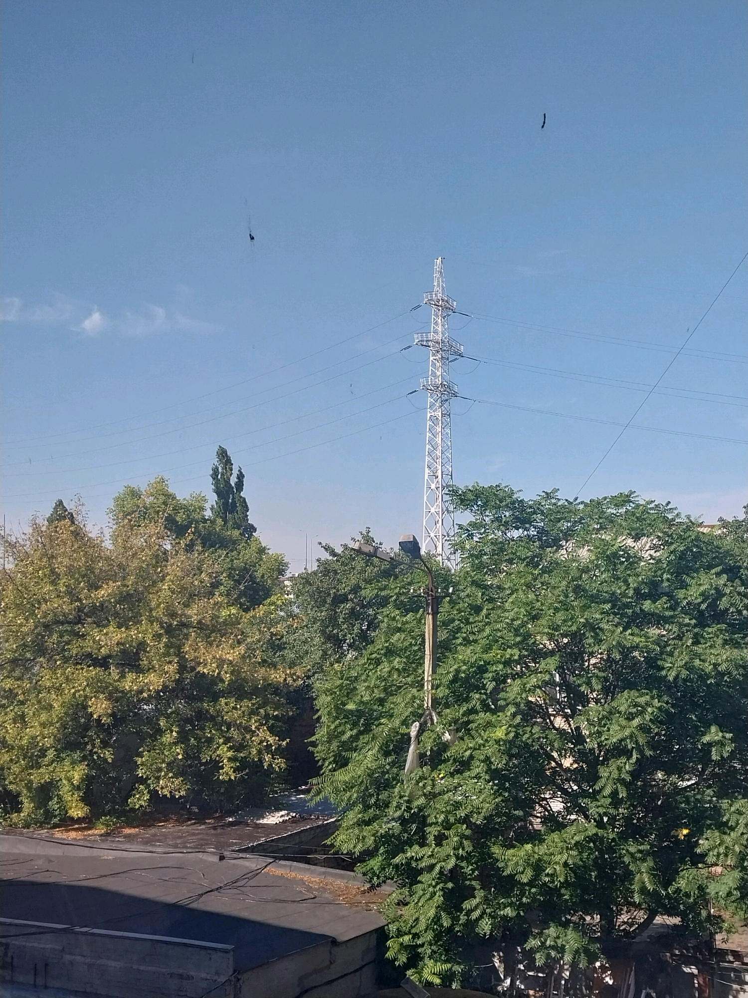 The image shows a view from a rooftop in the city of Dnipro, Ukraine. In the foreground, there is a dark, flat roof with some debris. Behind the roof, there are several trees with green and yellow foliage. A tall, silver electricity pylon stands in the background, with power lines stretching across the blue sky. There are a few small, dark specks in the sky, which could be birds or debris. The overall scene suggests an urban environment with a mix of infrastructure and natural elements. The time of day appears to be daytime, with clear skies and bright sunlight.