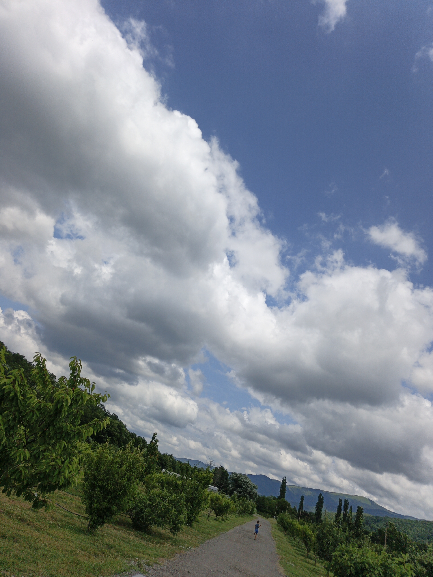 The image depicts a rural landscape under a dramatic sky filled with large, white and grey clouds. A narrow, unpaved path winds through a grassy area with rows of green trees on either side. In the distance, rolling hills and mountains are visible. A solitary figure, appearing to be a child wearing a blue shirt and shorts, is walking along the path away from the camera. The location is specified as Pshada, Russia.
