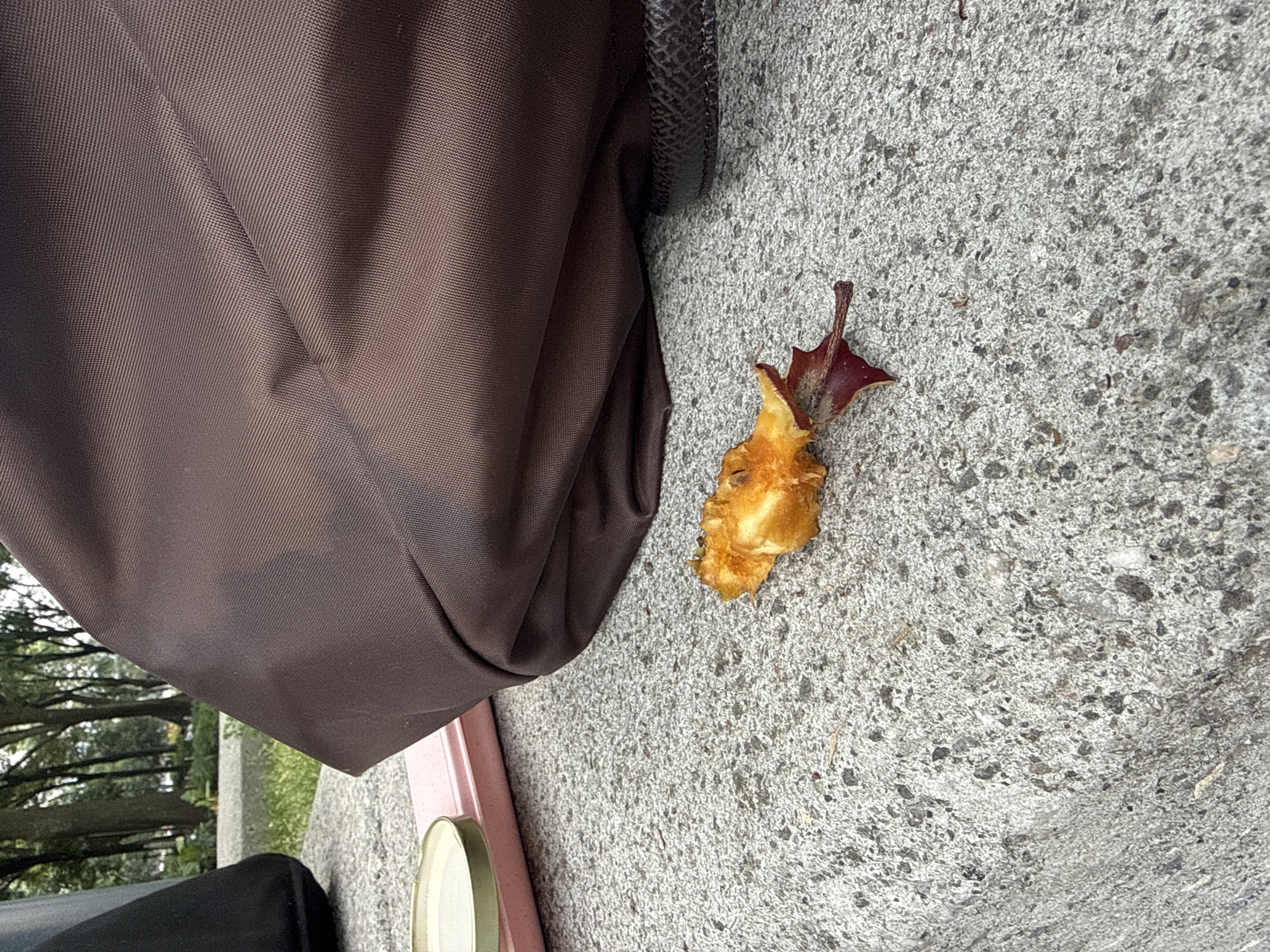 A photograph shows a partially eaten pear, skin side up, lying on a concrete surface. The pear has a red stem. Next to the pear is a brown material and a small section of pink. The background shows trees and greenery. The location is in Mexico City, Mexico.