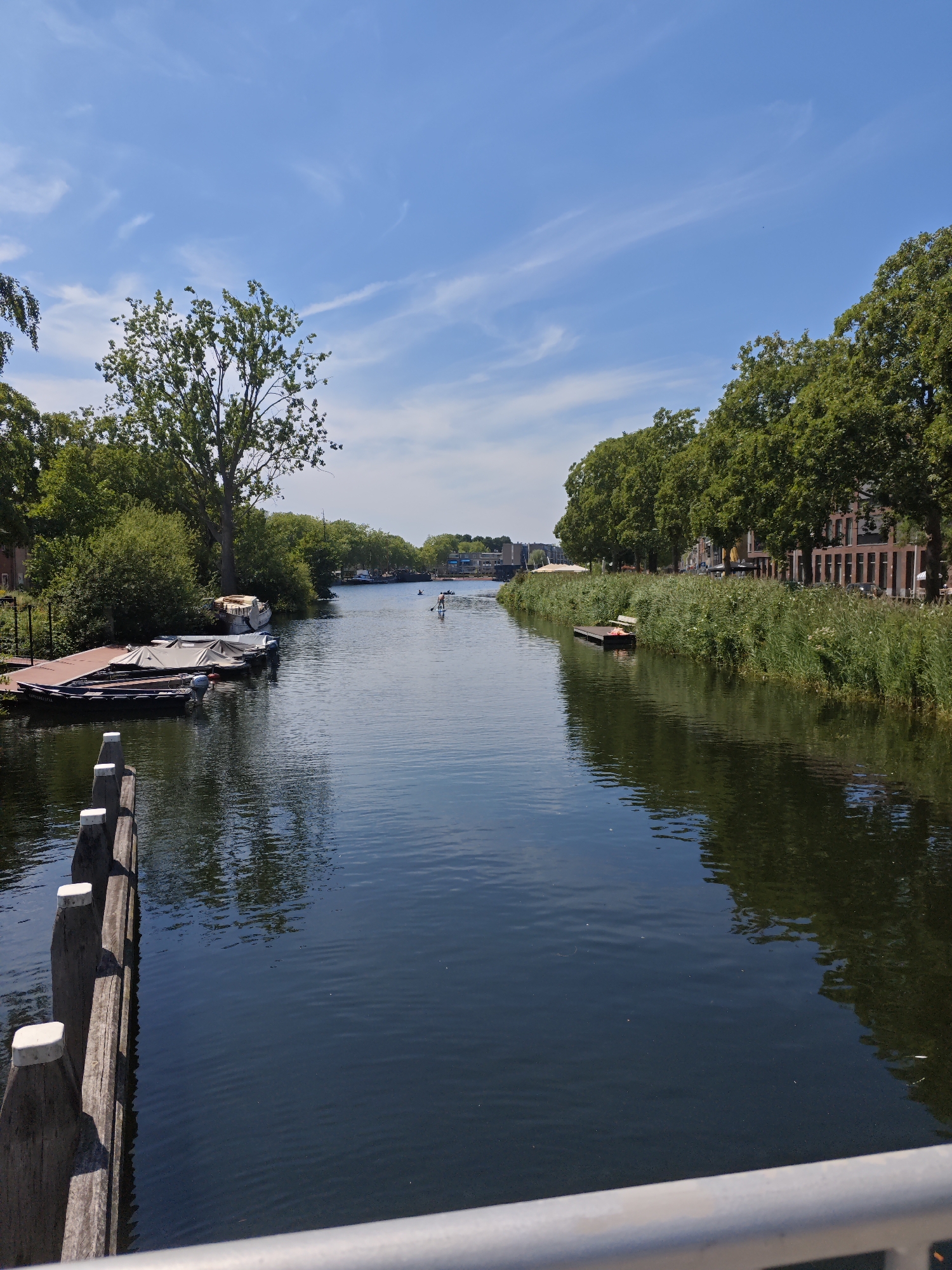 A wide canal flows through a sunlit urban area, bordered by lush green trees and buildings on either side. The water is dark blue and reflects the sky and surrounding foliage. On the left bank, several boats are moored to a wooden dock. The boats are covered with tarps. A wooden pier extends into the water, with vertical posts topped with white caps. On the right bank, tall reeds and grasses line the water's edge, with trees and multi-story buildings visible behind them. A person is seen stand-up paddleboarding on the canal in the distance. The sky is bright blue with scattered white clouds. This scene depicts the Stadsring canal in Tilburg, Netherlands.