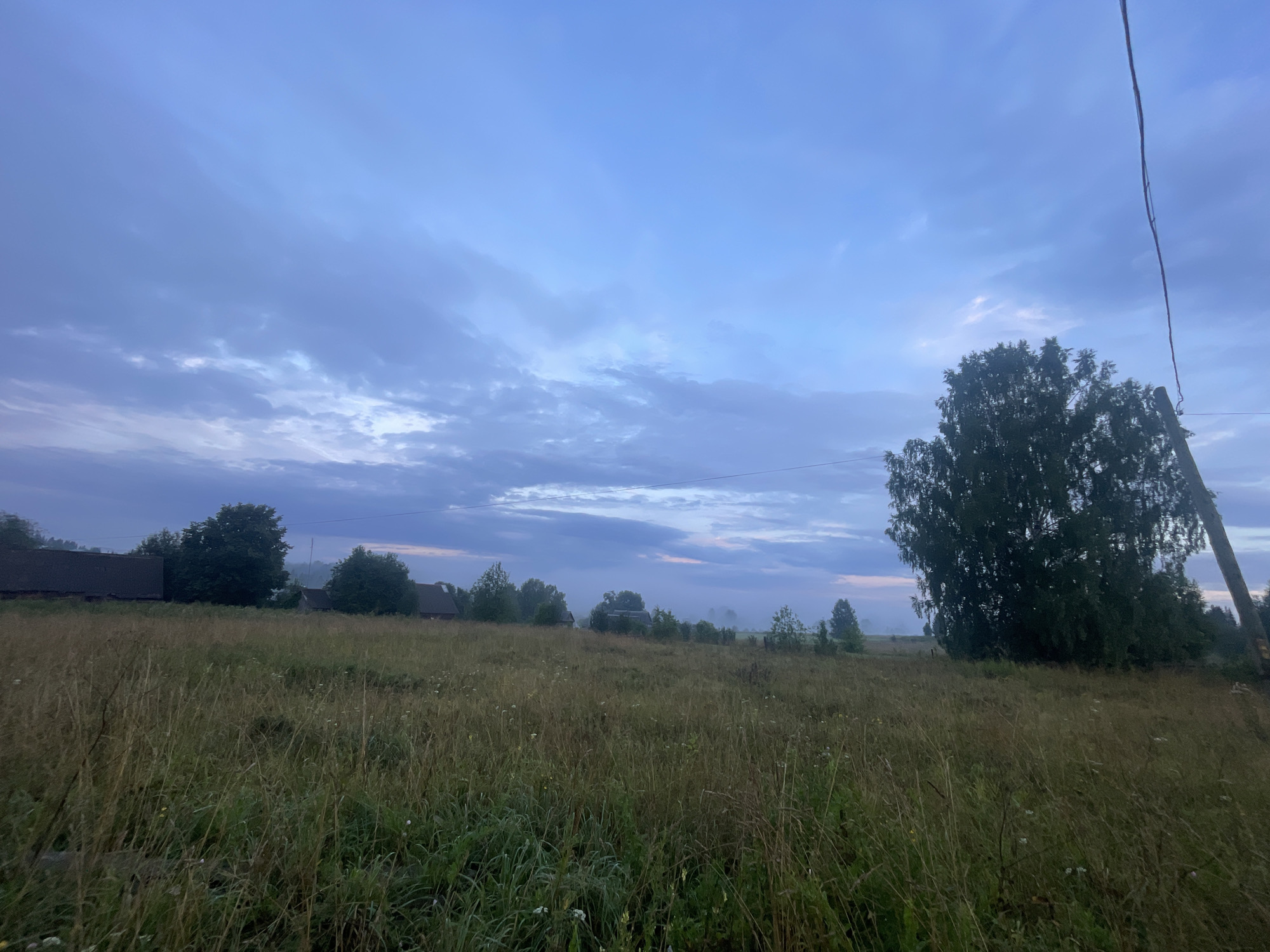 The image depicts a rural landscape at dusk in Panteleevka, Russia. The foreground is dominated by a field of tall, dry grass. In the mid-ground, a cluster of trees and several rustic houses with dark roofs are visible. The background is characterized by a hazy horizon, suggesting a misty or foggy atmosphere. The sky is a blend of pale blue and grey clouds, with a hint of pink on the horizon, indicating the setting sun. A utility pole with a wire stretching diagonally across the frame is present on the right side of the image, near a large, dark green tree. The overall impression is one of a tranquil, early evening in the Russian countryside.