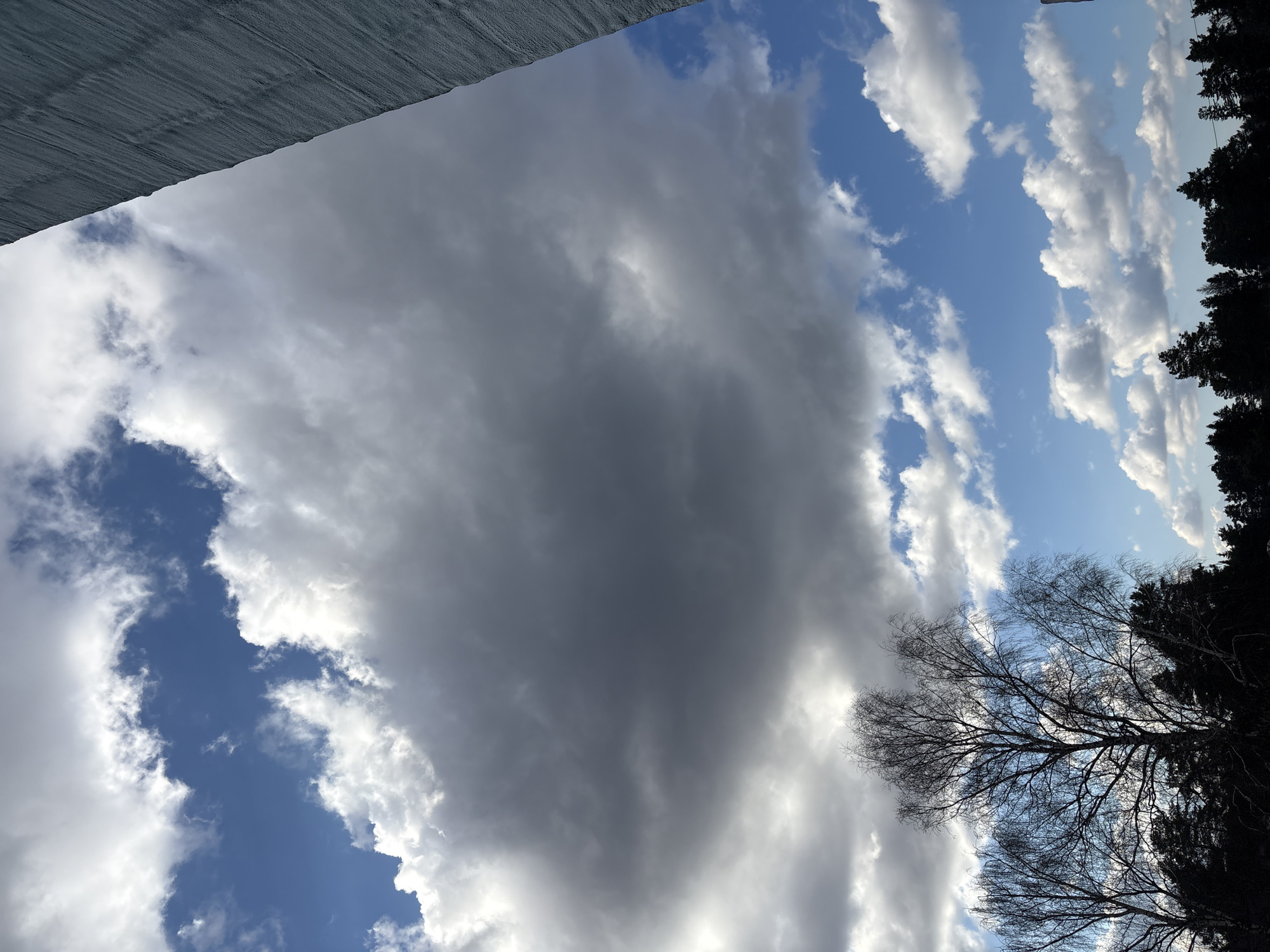 The image displays a sky scene, appearing to be rotated 90 degrees clockwise from a natural upright orientation. The sky is a mix of deep blue and varied cloud formations. A large, dark, and heavy gray cloud dominates the central and left areas, suggesting significant cloud cover or an impending change in weather. Contrasting with this, patches of bright blue sky with scattered white, fluffy cumulus clouds are visible, particularly towards the right side of the frame.
Along the top edge of the image, a dark gray, textured surface extends horizontally, resembling the underside of a roof overhang or another architectural element.
On the lower right, silhouetted against the sky, are several trees. A prominent deciduous tree with intricate bare branches is visible, suggesting a season of dormancy like late winter or early spring. Further right, denser silhouettes of coniferous trees are also present.
The lighting indicates daytime, with sunlight illuminating the edges of some white clouds, creating highlights against the darker cloud mass. The overall impression is one of dramatic and changing weather conditions. No people or visible text are present in the image. The scene's elements, including the bare deciduous tree, align with the climate of Chaikovsky, Russia.