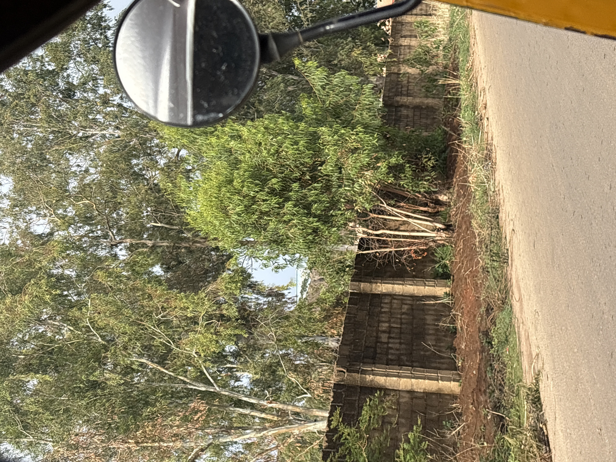The image appears to be taken from inside a vehicle, possibly a car or motorcycle, looking out towards a road and a walled area. The vehicle's side mirror is visible in the top left corner of the frame. To the right of the mirror is a view of trees, a brick wall with beige accent, and a road. The vegetation along the wall includes grass and some smaller plants. Given the request to place the location in Bar Gada, Nigeria, it is likely that the scene depicts a typical street view in that area, including the road, vegetation, and wall that are common in urban and suburban landscapes. There are no people visible in the frame, nor any specific actions or interactions taking place. The environment is daytime and outdoors.