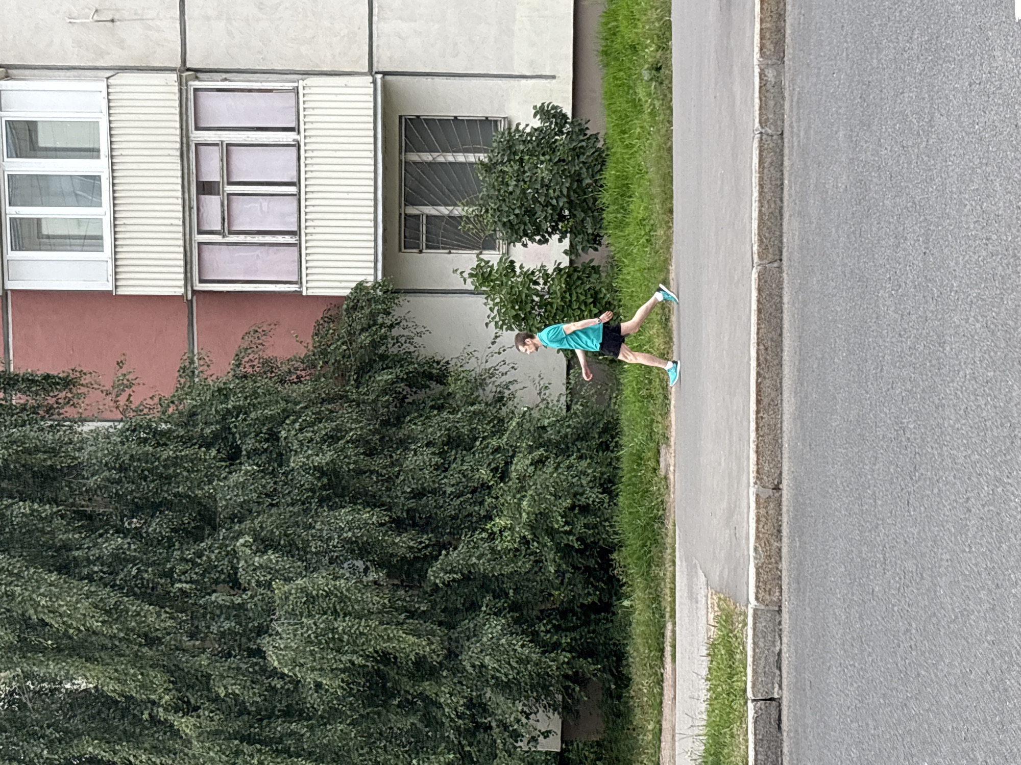 A young man, appearing to be in his early 20s, with short brown hair, is walking along a paved sidewalk. He is wearing a turquoise t-shirt, black shorts, and bright blue athletic shoes. To his left, a large, dense green tree with drooping branches dominates the background. Behind the tree and extending to the right is a multi-story apartment building with a light pink upper section and a grey lower section. The building has multiple windows and balconies, some with white siding. Green grass borders the sidewalk between the tree and the building. The sidewalk is adjacent to a street in what appears to be a residential area of Saint Petersburg, Russia.