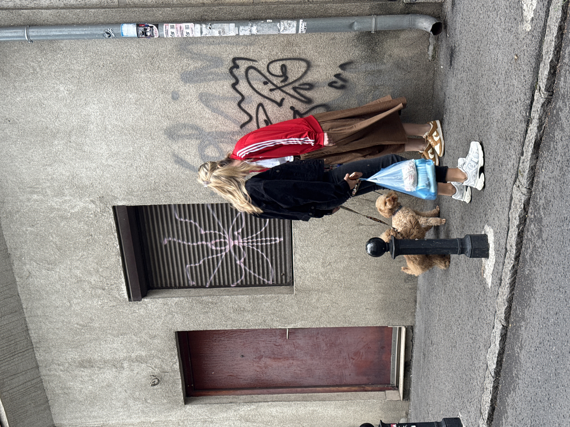 Two individuals, one wearing a black jacket and the other a red jacket with white stripes, are standing on a sidewalk next to a textured concrete building. The person in the black jacket is holding a leash attached to a small, light brown poodle. The person in the red jacket appears to be leaning towards the wall, which is covered in graffiti. In front of the individuals, on the sidewalk, is a blue plastic bag containing items, and the person in the black jacket is also wearing white sneakers, while the person in the red jacket is wearing brown and white sneakers. To the left of the individuals is a dark red door set into the building. A metal downspout runs vertically along the right side of the building, with stickers affixed to it. The sidewalk is paved with asphalt and stone. The scene appears to be in Vracar Urban Municipality, Serbia.