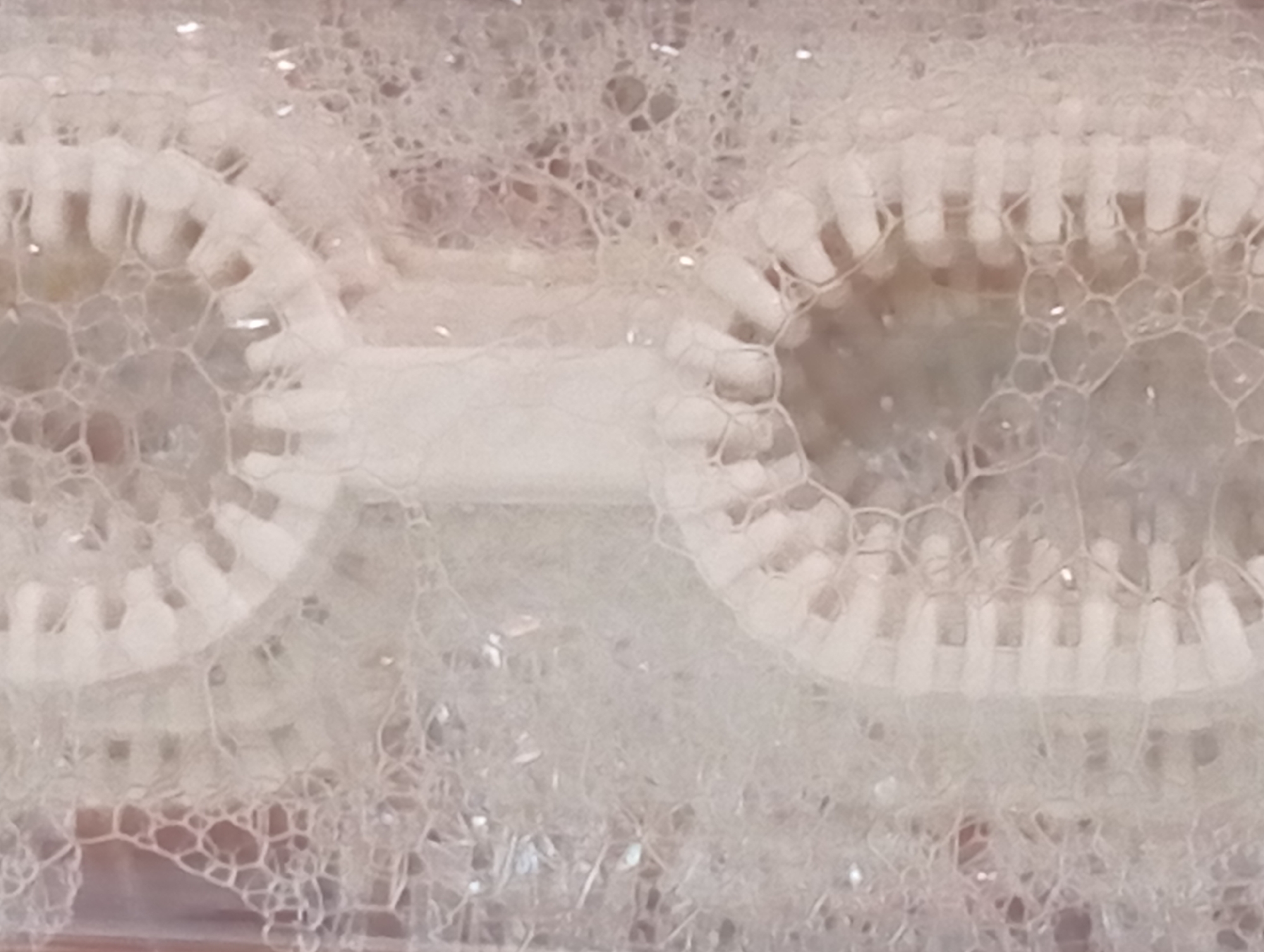 The image shows a close-up view of soap bubbles and a bubble wand. The wand appears to have two circular openings with ridged edges, designed to create multiple bubbles at once. The bubbles are a translucent white and are clustered around the wand, creating a frothy texture. Some small, bright reflections are visible within the bubbles, suggesting they are catching light. The background is out of focus and appears to be a soft, neutral color. The image does not contain any discernible elements that would indicate its location in the city of Smila, Ukraine.