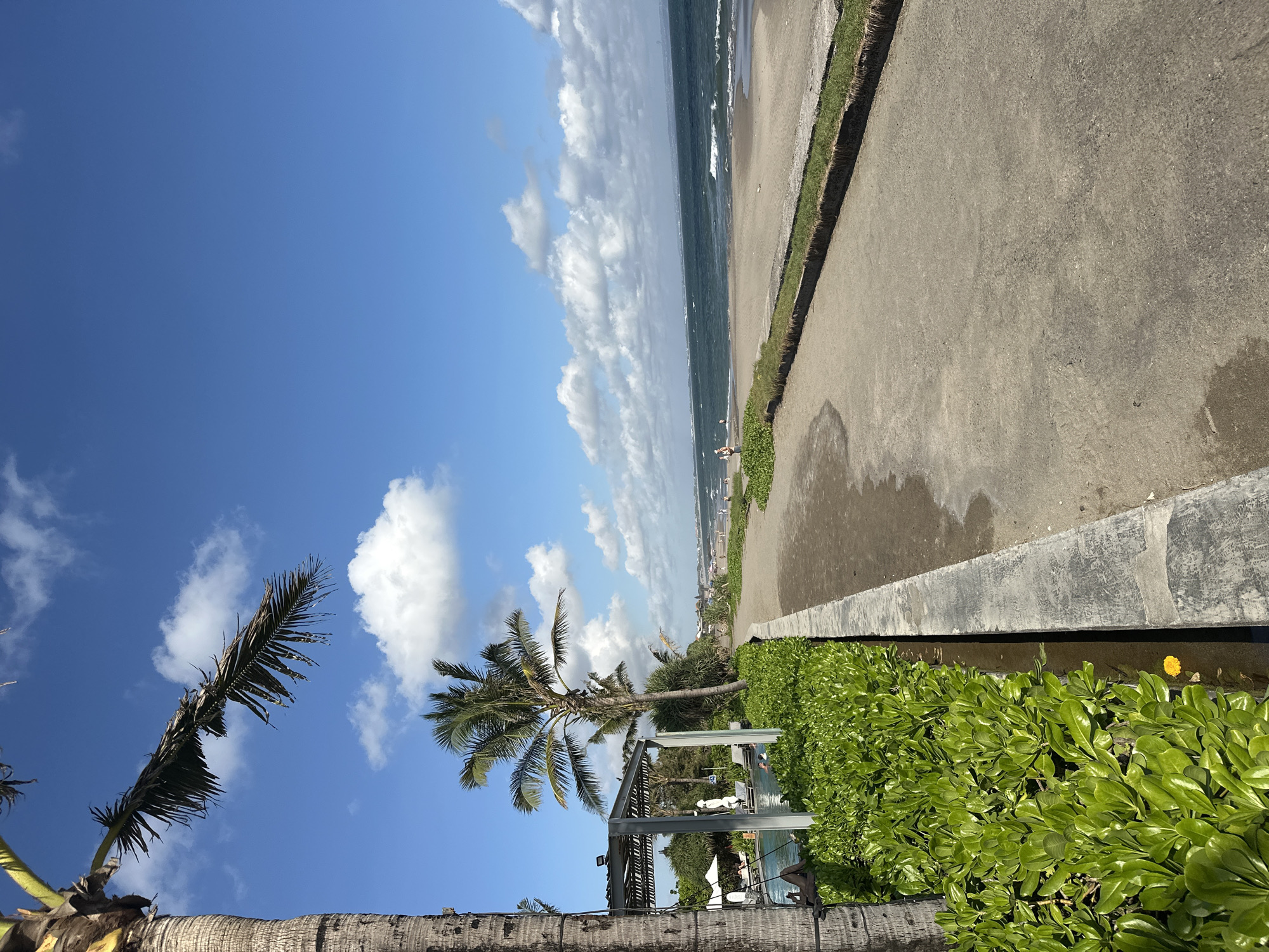 The image depicts a coastal scene in North Kuta, Indonesia. A concrete walkway runs along the right edge of the frame, bordered by dense green vegetation and a low retaining wall. Adjacent to the walkway is a sandy beach with waves crashing on the shore. In the background, people can be seen on the beach. Palm trees are visible in the lower left and center, reaching towards a bright blue sky with scattered white clouds. Underneath the central palm tree is a white structure with an outdoor pool.