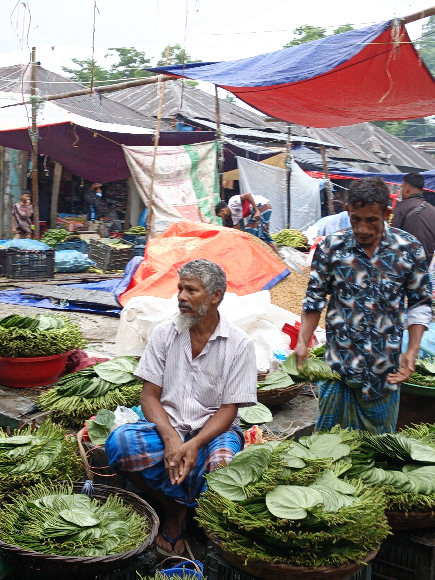 The image depicts a vibrant market scene in an undetermined location. Two men are central to the composition. One man, seated, is clad in a white striped short-sleeved shirt and blue checkered lungi; he gazes to his left. Beside him, another man stands, wearing a patterned long-sleeved shirt and a blue lungi; he is holding green leaves. Baskets overflowing with leafy produce surround them. Red and blue tarps are visible in the background, providing shade and defining the market stalls. People are milling about in the background, along with various goods and containers, suggesting a bustling market atmosphere. The roofs of market stalls can also be seen in the background.