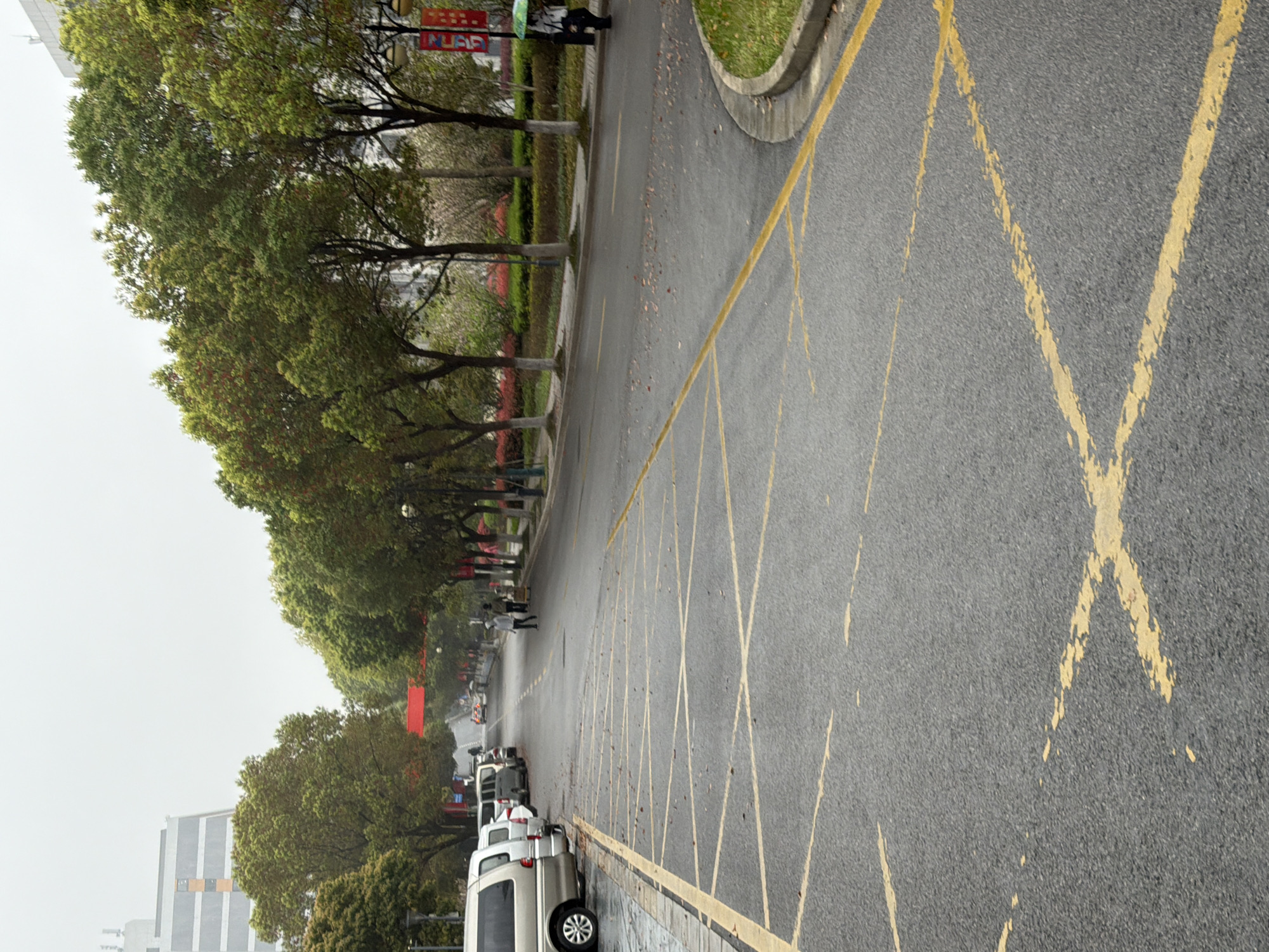 A street scene in Jiangning District, China, features a wet asphalt road with yellow "no parking" crosshatch markings. Trees line the left side of the road, and several parked white vehicles are visible further down the street. In the distance, pedestrians walk along the sidewalk. A tall, modern building is on the left, partially obscured by trees. The sky is overcast, suggesting a rainy or drizzly day.