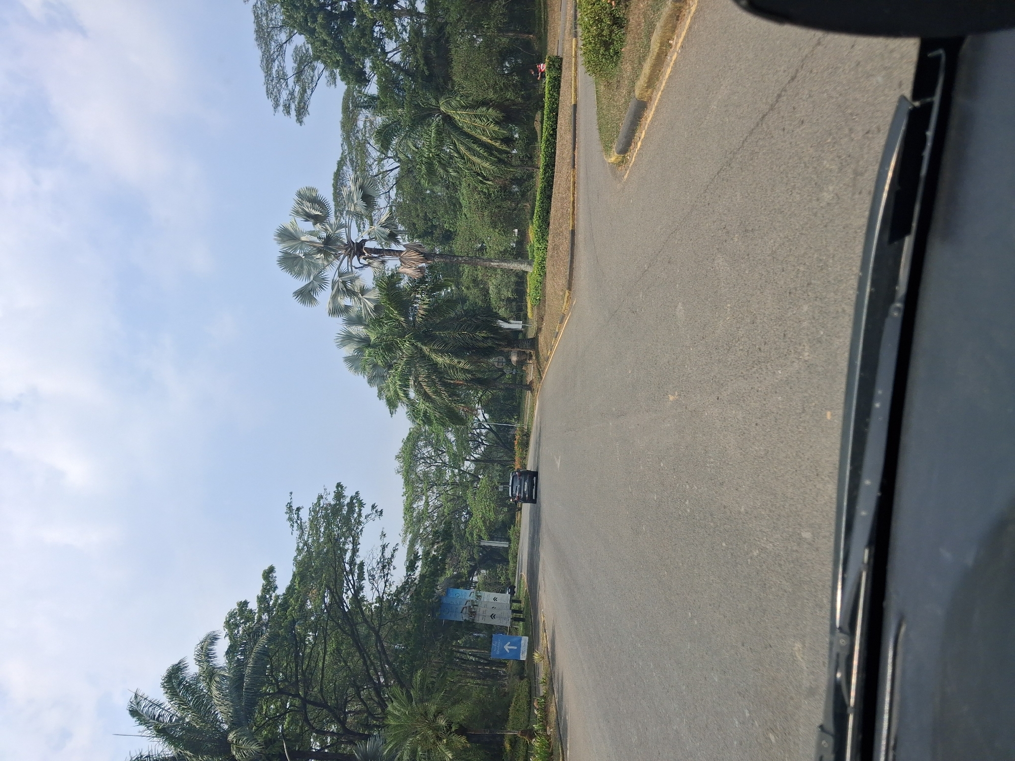 The image captures a view from inside a vehicle driving on an asphalt road in Babakan Madang, Indonesia. The road curves to the right, flanked by lush green trees and palm trees, including several distinctive fan palm trees. In the distance, a dark-colored SUV is driving away. On the left side of the road, there are two signs on poles; one displays an upward-pointing blue arrow, and the other has text and images that are not clearly legible. The sky above is partly cloudy with a light blue hue. The foreground shows the dashboard and windshield wipers of the vehicle, indicating the perspective of the photographer. The environment appears to be a well-maintained area with vegetation and a clear road, suggesting a park, resort, or residential complex.