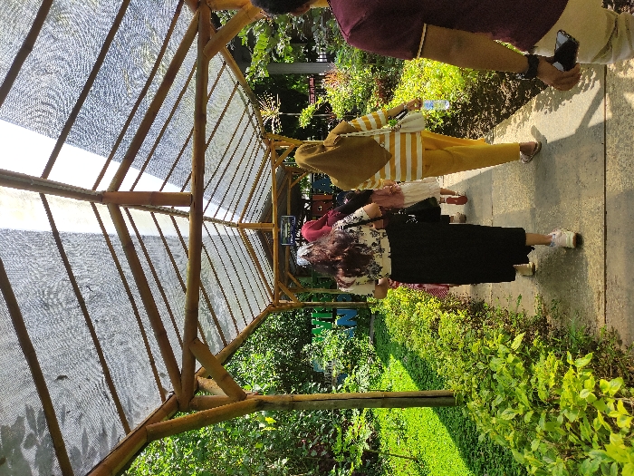 Four people are walking on a paved path under a bamboo and woven plastic roof structure. They are walking in the same direction, two women in front, one man behind them, and another woman trailing behind. The woman in front is wearing a black skirt and a black and white patterned top, while the woman behind her is wearing a yellow and white striped top and a yellow head covering. The man is wearing a maroon shirt. The background features lush green foliage and a clear blue sky. The path is surrounded by green plants and grass. The location is a park or garden in Kecamatan Pujon, Indonesia, with the coordinates -7.856 latitude and 112.455 longitude.