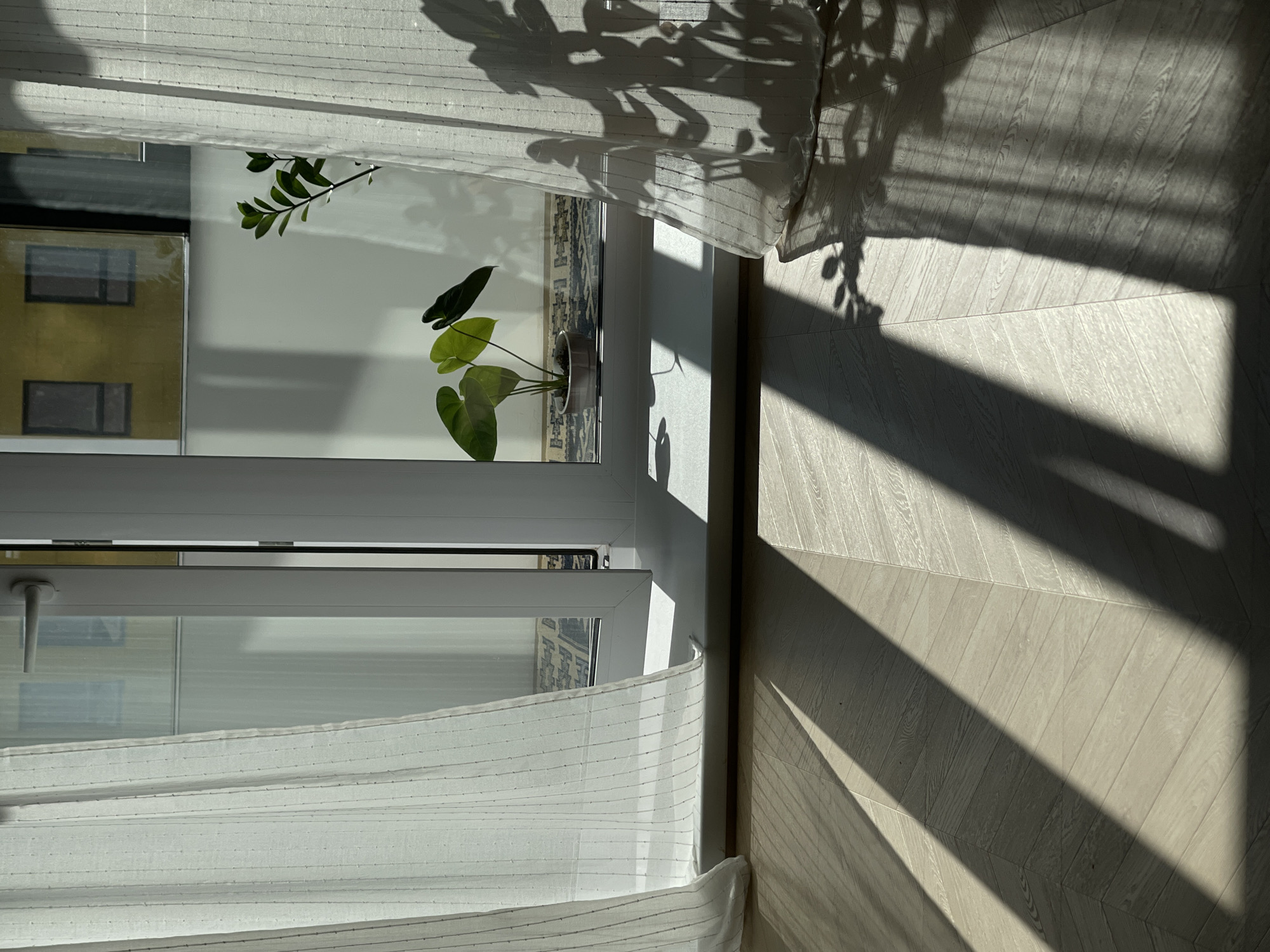 An interior shot shows light streaming through a window, casting diagonal shadows across a wooden floor. The light also illuminates a white sheer curtain on the left and right sides of the frame. Inside, on the windowsill, a potted plant with large, heart-shaped leaves is visible. The plant is in a light-colored pot. Through the window, a building with yellow siding and dark-paned windows can be seen. A doorknob is visible on the white frame of the window. The floor is laid with light-colored wood planks arranged in a chevron pattern.