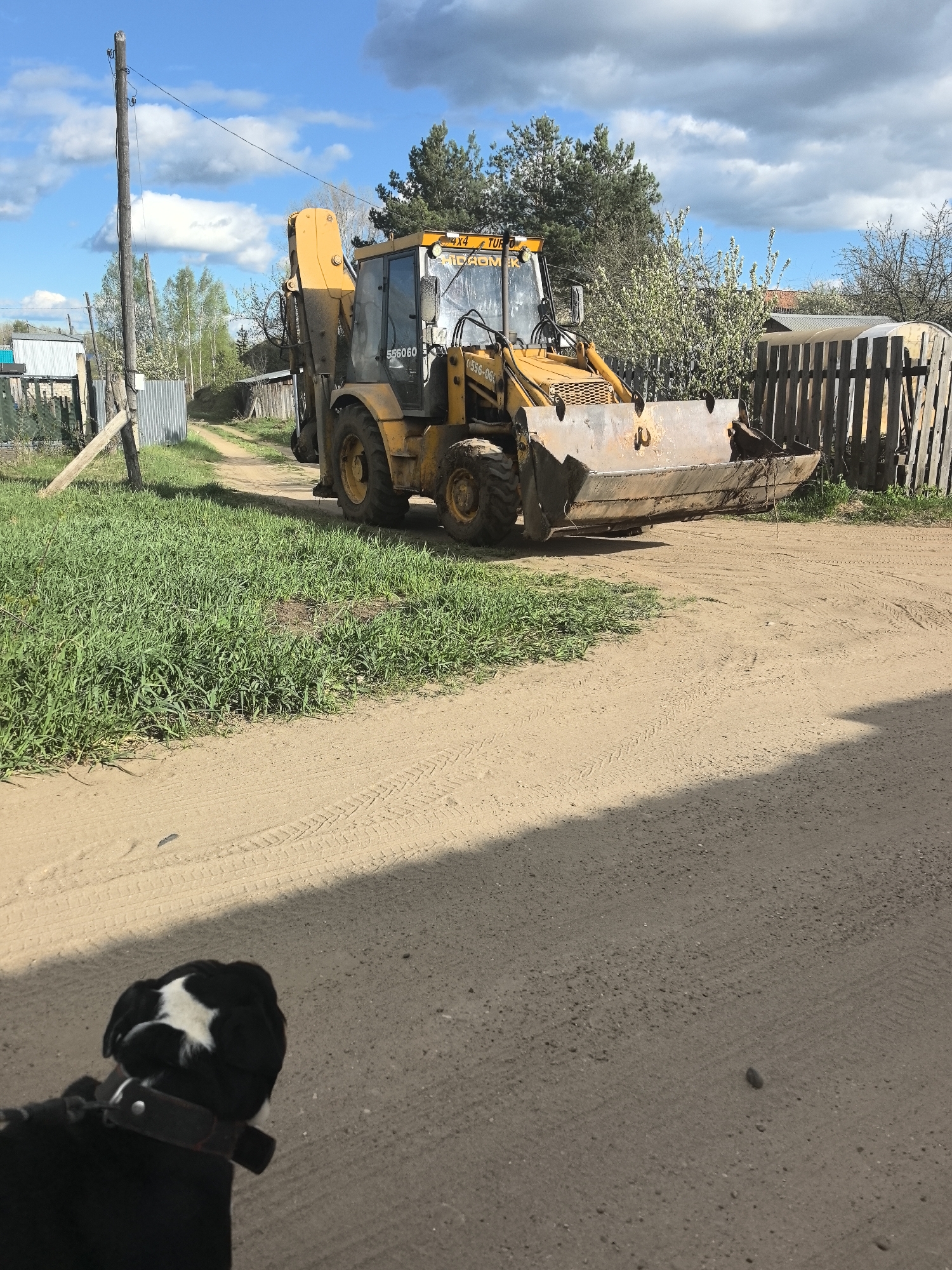 A rural dirt road scene. A yellow backhoe is parked on the road, slightly angled towards the right side of the image. The backhoe is a large, industrial vehicle. To the left of the backhoe, there's green grass and a wooden utility pole. To the right is a weathered wooden fence. The sky is blue with white clouds. In the foreground, the back of a black and white dog wearing a collar is visible. Tire tracks are visible on the dirt road. The location is Noviy, Russia.