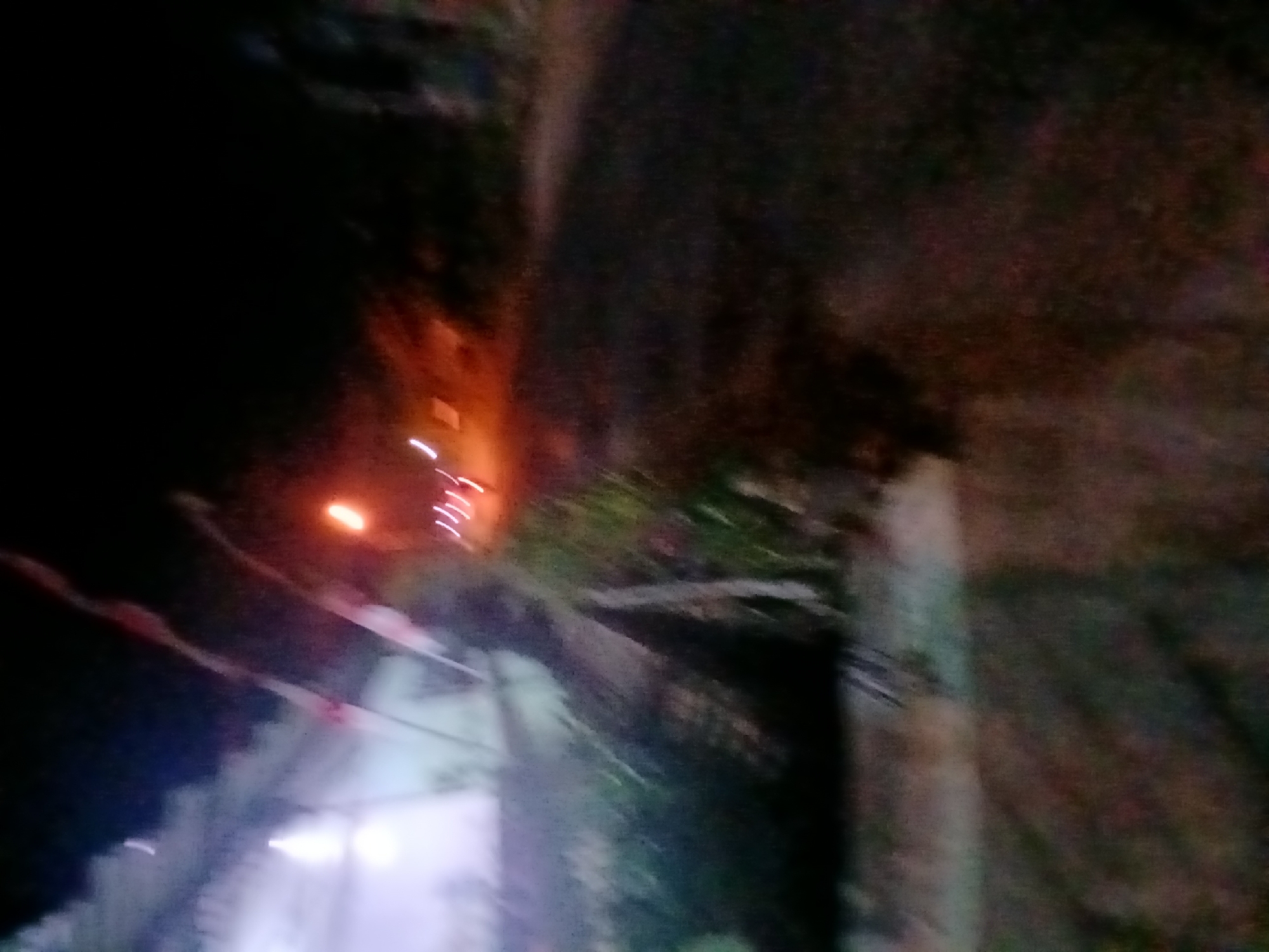 The image depicts a blurry, nighttime scene of a street or pathway in Kademangan Kulon, Indonesia. A brightly lit building, possibly a house or shop, is visible on the left side of the image. Red and white flags are hanging vertically from poles in front of the building. A road or path runs diagonally from the lower right to the upper right of the image, with a dark, possibly wet surface. Streaks of light, likely from passing vehicles or streetlights, are visible on the road. Some green vegetation is present along the left side of the pathway. The overall impression is of a dimly lit, somewhat rural or suburban street at night.