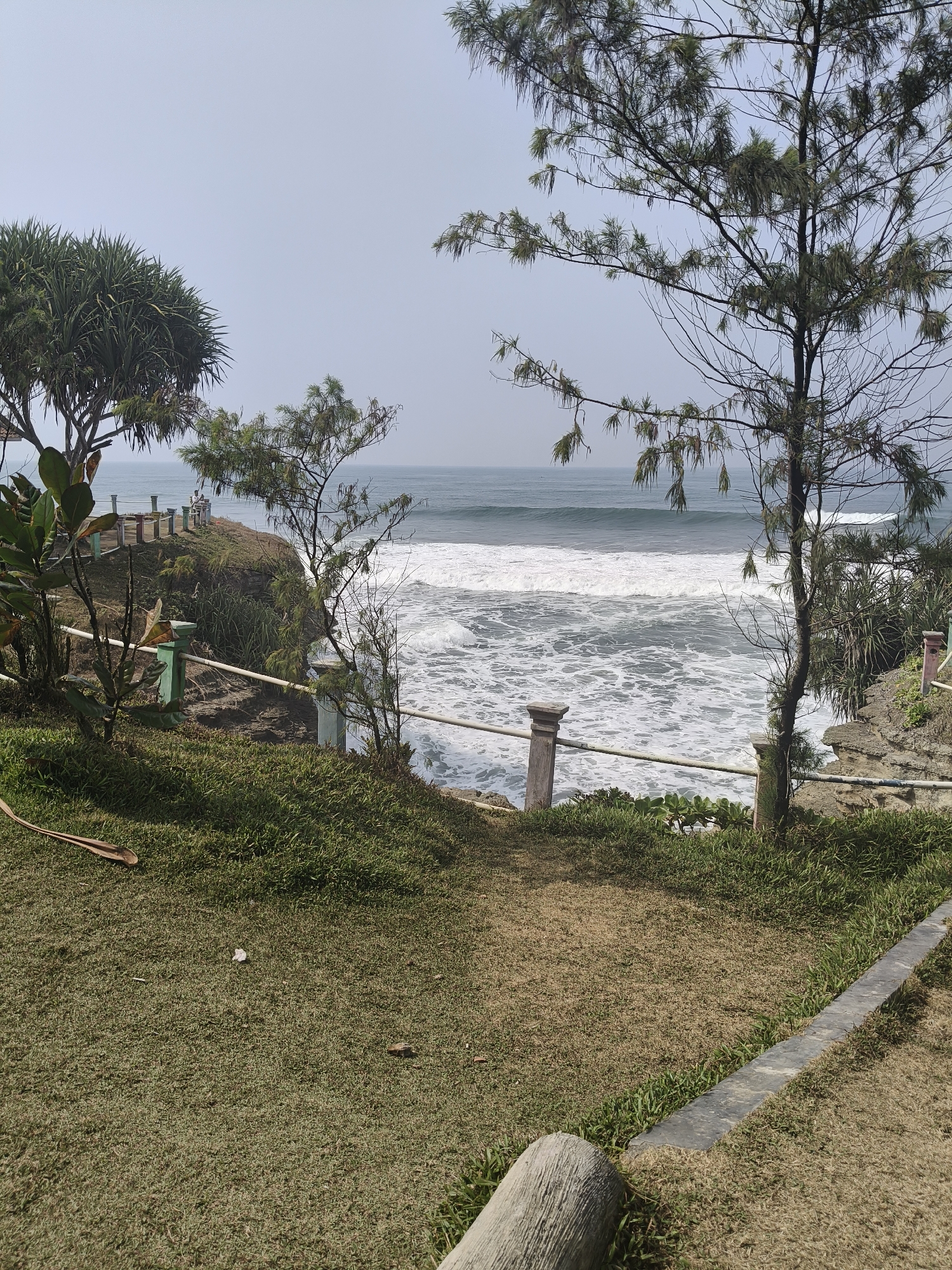 The image shows a scenic view of the ocean from a grassy hillside in Desa Ciliang, Indonesia. The foreground features a well-maintained grassy area with a pathway made of stone slabs. A weathered log lies on the grass to the left, and scattered dry leaves and small debris are visible. A thin fence with white railings and decorative posts runs along the edge of the cliff overlooking the sea. Beyond the fence, a lush green slope descends towards the turbulent ocean. The sea is characterized by its large, foamy waves crashing onto a rocky shore. Two thin trees with sparse foliage stand on the right side of the frame, obscuring parts of the view. In the distance, the horizon meets a pale, overcast sky.