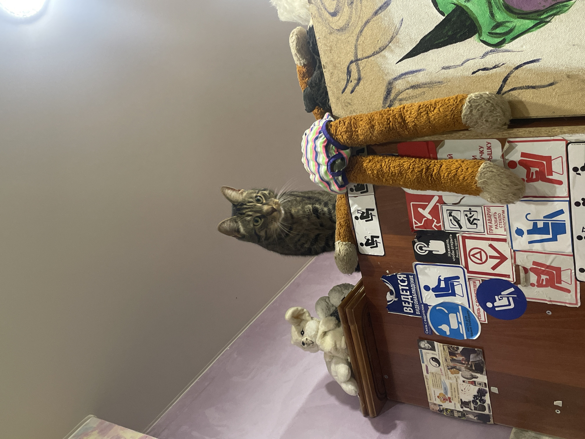A tabby cat is perched on top of a wooden cabinet in an indoor setting. The cabinet is adorned with various stickers and images. To the left of the cat, a plush white toy bear is placed on a shelf above the cabinet. In front of the cat, a pair of stuffed orange legs wearing striped underwear is propped up. The background consists of a wall and a ceiling, with a light fixture visible in the upper right corner. The overall environment appears to be a room within a residential building, possibly in the city of ЖК «Борисоглебское», Russia, given the context provided.