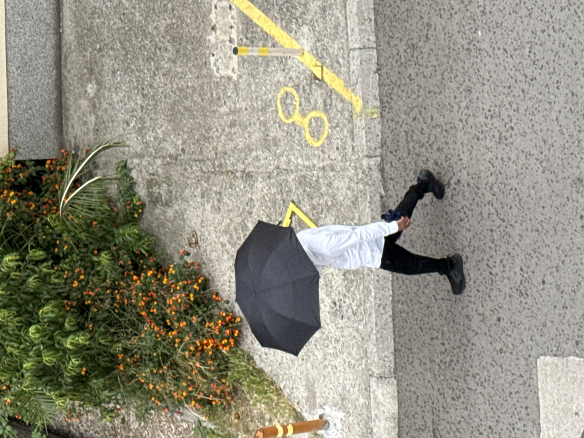 A top-down, eye-level view shows a man in black pants, black shoes, and a white long-sleeved shirt. He is holding a black umbrella, walking on a gray concrete surface in what appears to be an urban environment. Next to the man is a section of a wall covered with a green plant with small orange flowers. The location is potentially in Budva, Montenegro, as indicated in the prompt. Yellow paint markings are on the concrete surface near the man, including shapes like two circles and a straight line, which are possibly road markings. The scene includes objects related to pedestrian and potential bicycle traffic infrastructure.