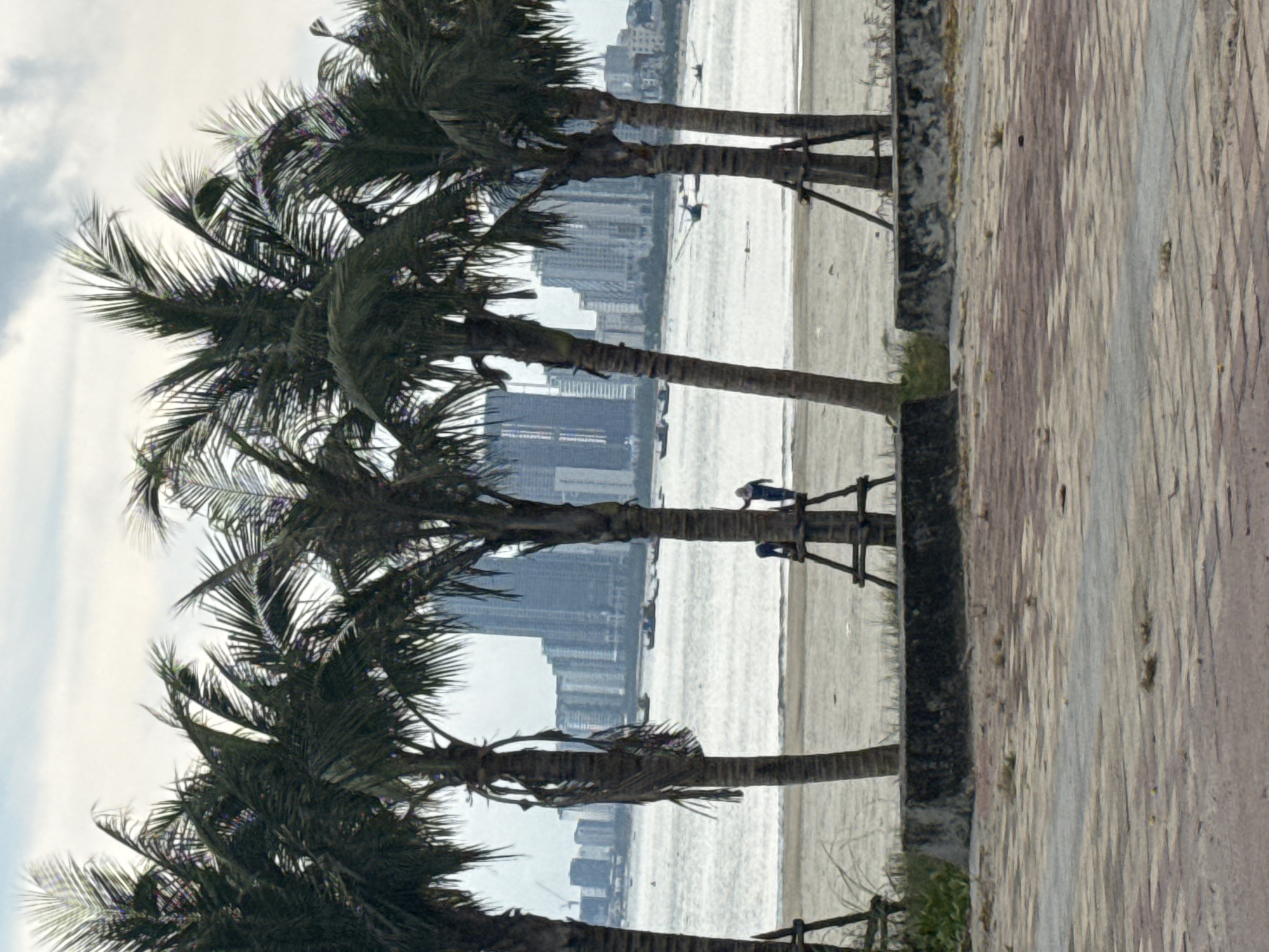 The image shows a beach scene in Đà Nẵng, Vietnam. Several palm trees line the edge of the beach, their fronds blowing gently in the wind. In the distance, the skyline of Đà Nẵng can be seen through the gaps in the trees. The beach is mostly empty, with a few distant figures visible on the sand. The water is calm, reflecting the cloudy sky above. A paved pathway runs along the edge of the beach, near the palm trees.