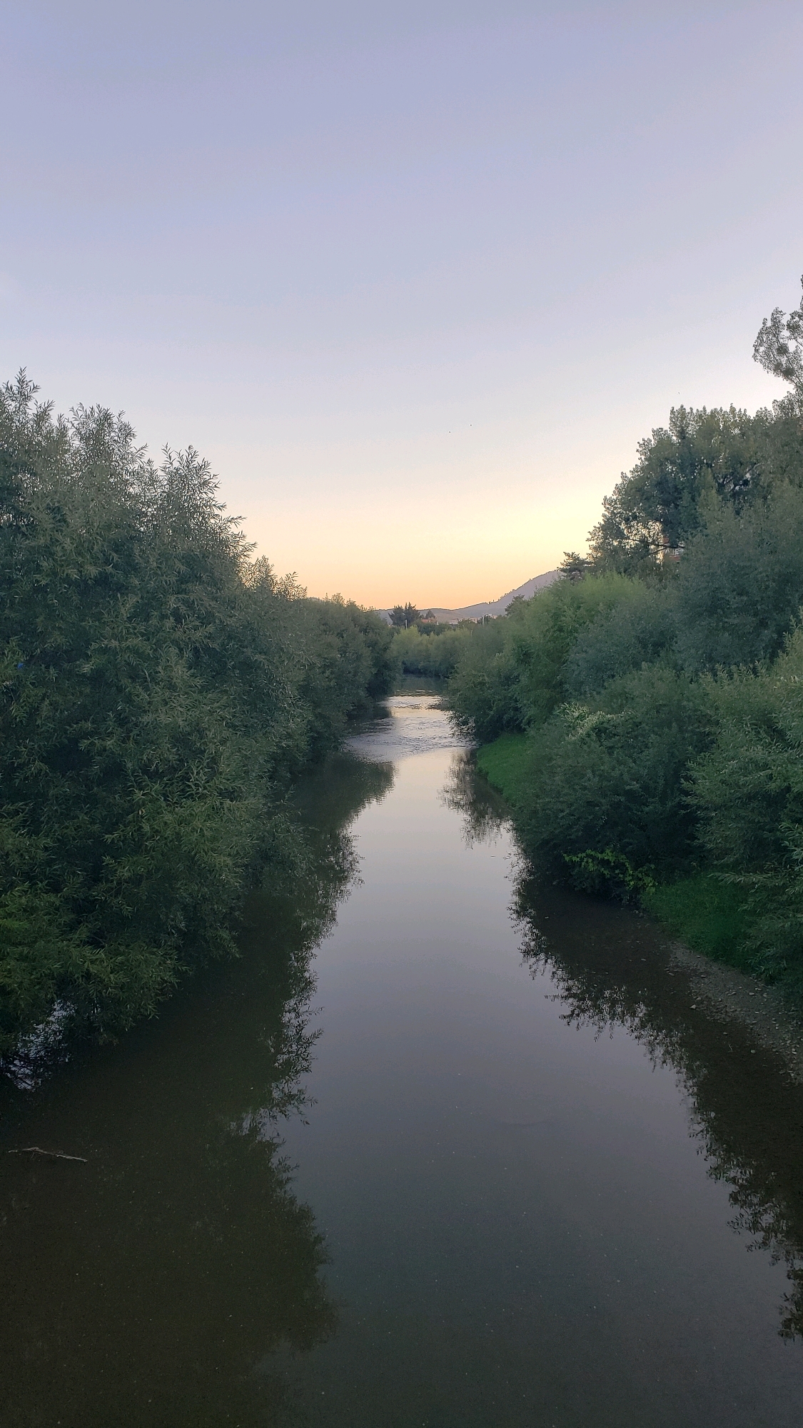 The image depicts a serene river flowing through a densely vegetated area, likely on the outskirts of Prešov, Slovakia. The water is calm and reflects the overcast sky and the surrounding greenery. The riverbanks are lined with thick, mature trees and bushes, their leaves a vibrant green. In the distance, a gentle slope or hill is visible, with some scattered buildings suggesting a residential area. The sky is a pale blue with a hint of yellow near the horizon, indicating either early morning or late evening. The overall atmosphere is peaceful and natural.