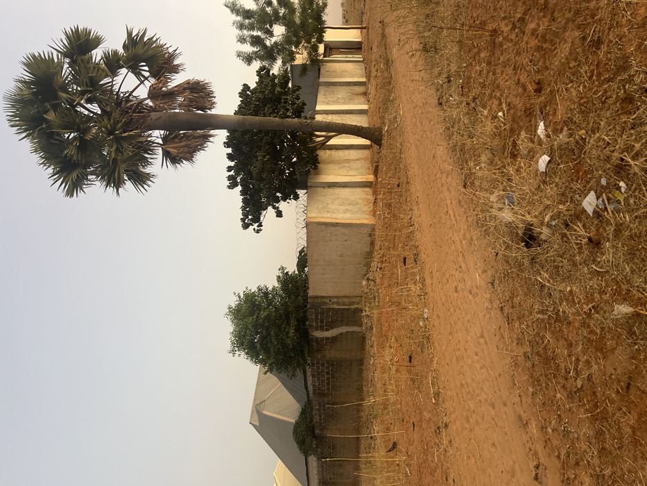 A dirt path runs along a concrete and brick wall with trees scattered along it. A tall palm tree leans towards the path, with a smaller, leafy tree underneath. The sky is a pale yellow. Trash is visible along the path. A building with a silver roof can be seen behind the wall.