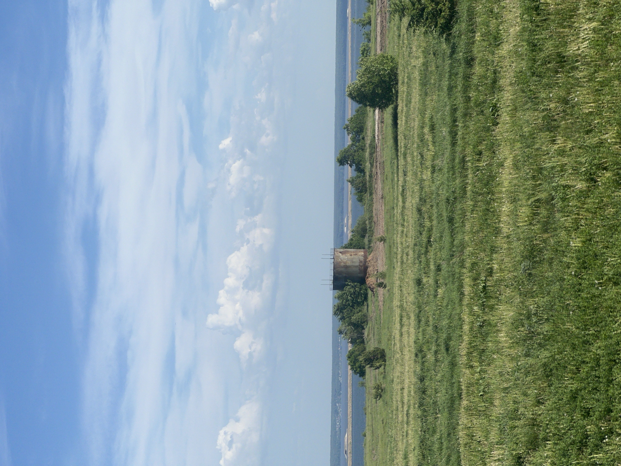 The image presents a landscape near Бизяки, Russia. The scene is divided vertically, with a cloudy blue sky occupying the left half. The right half depicts a green grassy field with some trees. There is a cylindrical, possibly metallic, structure, partially obscured by foliage, located near the edge of the field. In the distance, a body of water is visible, separated from the field by a strip of land.