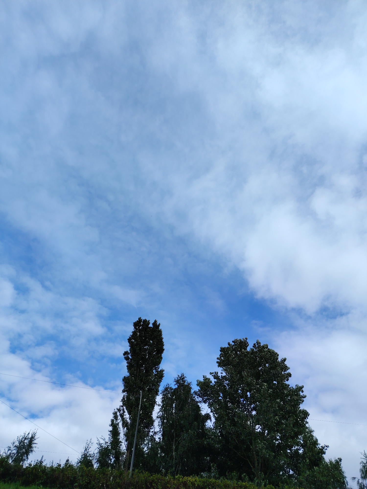 The image depicts a cloudy sky over a line of trees. The clouds are a mix of white and gray, with streaks of blue sky visible between them. The trees are dark green and appear to be a mix of deciduous and coniferous types. The tops of the trees are silhouetted against the sky. There are some power lines visible in the upper left and right portions of the image, running horizontally across the frame. The overall scene suggests an outdoor environment, likely in a park or along a road. The location is identified as Zelenograd, Russia.