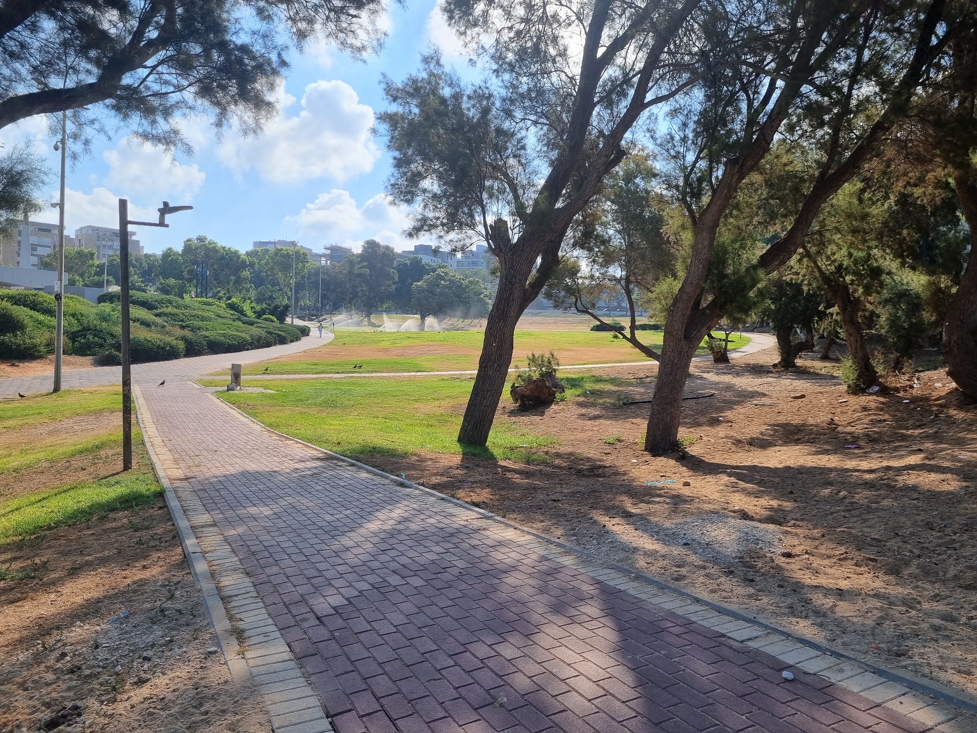 The image depicts a paved walkway made of red and grey bricks that curves through a park. The walkway is bordered by a patch of sand and then a grassy area. On the left side of the walkway, there are low, green bushes and a lamppost. In the background, there are trees, sprinklers on a lawn, and buildings that appear to be in a residential area. A person is walking on the walkway in the distance. The sky is blue with fluffy white clouds. The scene appears to be in a public park in Ashdod, Israel, possibly near the coast given the sandy areas and the type of trees.