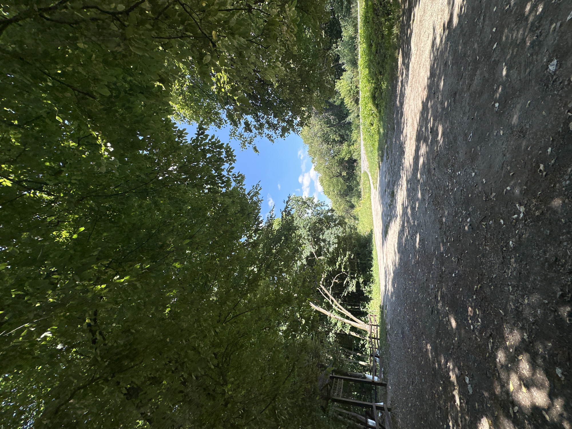 The image depicts a dirt road diverging into two paths within a forested area. The canopy of trees, heavy with green leaves, frames the scene from above, dappling the ground with shadows. To the left, a wooden structure resembling a shelter or information kiosk stands beside a rustic fence. Beyond this, a broken tree branch leans at an angle. The road ahead is illuminated by sunlight, contrasting with the shaded foreground. In the distance, the trees give way to a brighter landscape under a clear blue sky dotted with a few white clouds. The scene appears to be an outdoor recreational area, possibly a park or nature trail, given the presence of the shelter and the unpaved paths. The location is identified as Shatava, Ukraine.