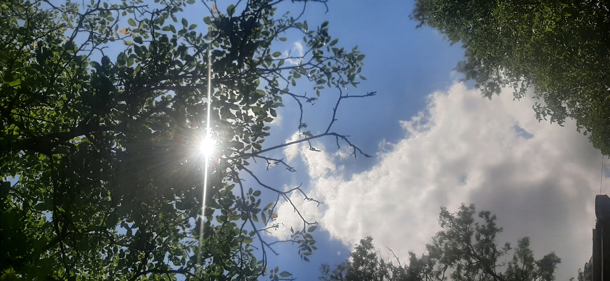 The image captures a view looking upwards through the branches and leaves of a tree towards a bright blue sky with scattered white clouds. The sun is shining intensely, creating a lens flare and bright beams of light that filter through the foliage. The leaves are lush and green, with some branches bare and silhouetted against the sky. In the distance, other trees are visible, and a hint of a structure or roofline can be seen at the bottom left, suggesting an outdoor, possibly residential, setting. The scene is typical of a sunny day in a location like Yessentukskaya, Russia, where such natural scenery is common.