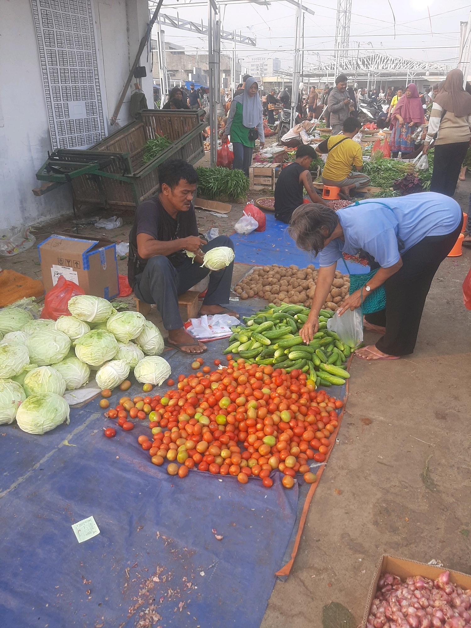 This is a medium shot, high-angle photograph of an outdoor market scene in Bekasi, Indonesia. The foreground is dominated by a large blue tarp displaying a colorful assortment of fresh produce. Piles of round, green cabbages are arranged on the left, followed by a mound of red tomatoes in the center, and a large quantity of cucumbers on the right.
To the left of the tarp, a man in a dark t-shirt and dark pants is seated on a small wooden stool. He is actively preparing a head of cabbage, holding it in his left hand and a knife in his right. Next to him is a brown cardboard box.
In the midground, a woman in a light blue t-shirt and black pants is bent over, reaching into the pile of cucumbers with a plastic bag in her left hand. Behind her, a large pile of potatoes is visible. Further back, various other market-goers are browsing stalls and interacting. Some are wearing headscarves. The market appears to be set up under a metal canopy, suggesting protection from the elements. The ground is a mix of concrete and dirt.
In the background, more stalls, shoppers, and a few motorcycles can be seen, indicating a bustling commercial area. The overall scene depicts a vibrant and active local market.