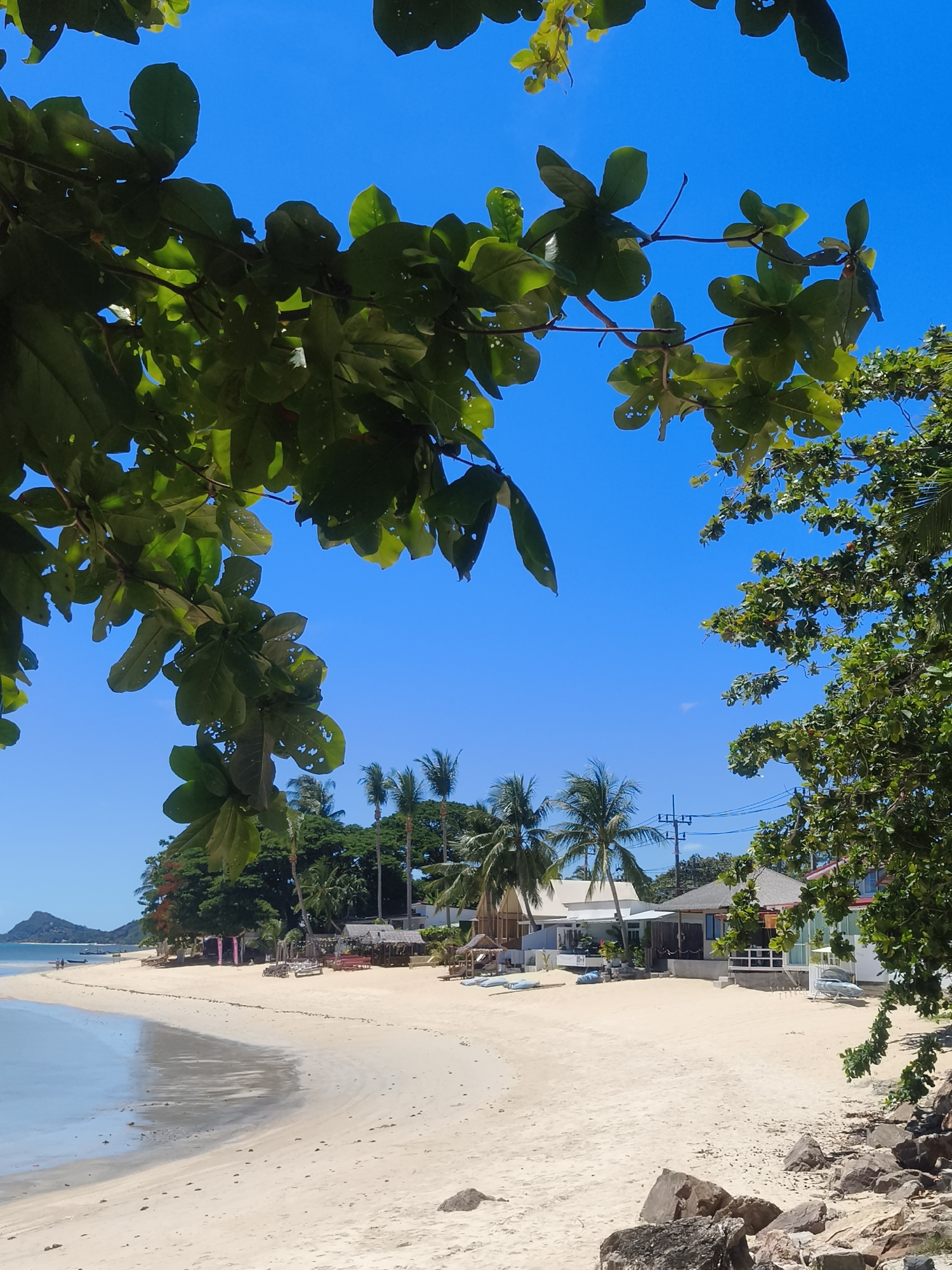 A bright, sunny day unfolds on a tropical beach in Baan Thong Po, Thailand. The foreground is dominated by the lush green foliage of a large tree, its leaves partially obscuring the vibrant blue sky. The sandy beach stretches out, meeting the calm, shallow water of the ocean. Along the shoreline, a row of quaint beachside structures, including bungalows and open-air huts, are visible, some with thatched roofs. Several lounge chairs and tables are scattered on the sand, suggesting a relaxed atmosphere. In the distance, palm trees and other tropical vegetation create a dense, green backdrop against the clear sky. A small, mountainous island can be seen on the far left horizon. The scene is devoid of any people, creating a serene and tranquil environment.