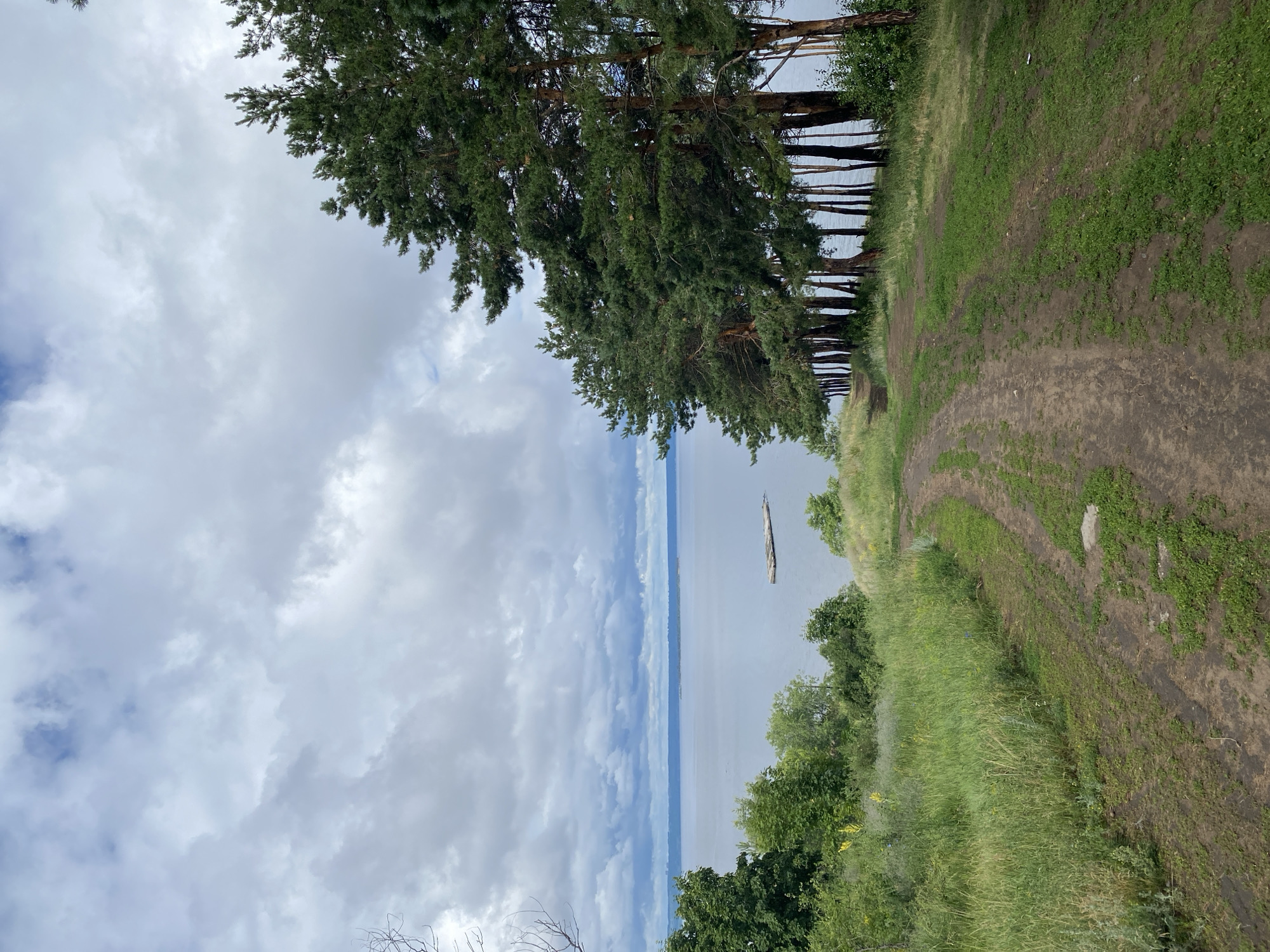 The image depicts a serene natural landscape, likely in Leninsky, Russia. The scene is dominated by a vast body of water, possibly a river or lake, stretching towards a hazy horizon. The water's surface is calm, with a single piece of driftwood floating on it, adding a subtle focal point. Along the shore, a line of tall, slender pine trees stands guard, their branches reaching towards the sky. To the right of the trees, a grassy embankment slopes downwards, marked by a dirt path with visible tire tracks. The path curves organically, suggesting frequent use by vehicles or ATVs.
The sky above is a dramatic canvas of clouds. Large, puffy white cumulus clouds are interspersed with darker, more ominous grey formations, hinting at an overcast or partially cloudy day. The lighting suggests it is daytime, possibly late afternoon, as the light is soft and diffused.
The overall mood is tranquil and somewhat melancholic, evoking a sense of solitude and the raw beauty of nature. The presence of the path suggests human activity, but the absence of people creates a feeling of untouched wilderness. The combination of the water, trees, and cloudy sky paints a picture of a peaceful, perhaps slightly wild, environment. There is no visible text in the image.