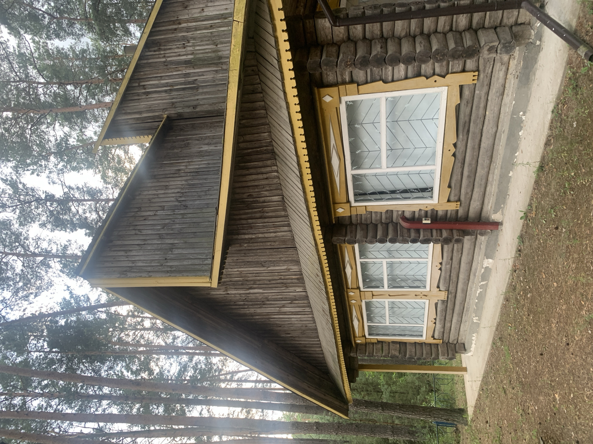 An exterior, eye-level, medium shot captures a wooden, log cabin-style house nestled amongst tall, slender pine trees. The house is constructed from horizontal, rough-hewn logs. The roofline is steeply pitched and clad in vertical wooden planks with a decorative, yellow-painted trim along the eaves and around the windows. Two windows are visible on the lower level, each with white frames and a distinctive geometric pattern of crisscrossing white bars. A red vertical pipe runs along the side of the house, near the right edge of the frame. The ground in front of the house is covered in pine needles and dirt, with a concrete foundation and walkway visible. A dark downspout runs along the right side of the house. The environment appears to be a wooded area, possibly a rural setting within the Орлеўскі сельскі Савет, Belarus.