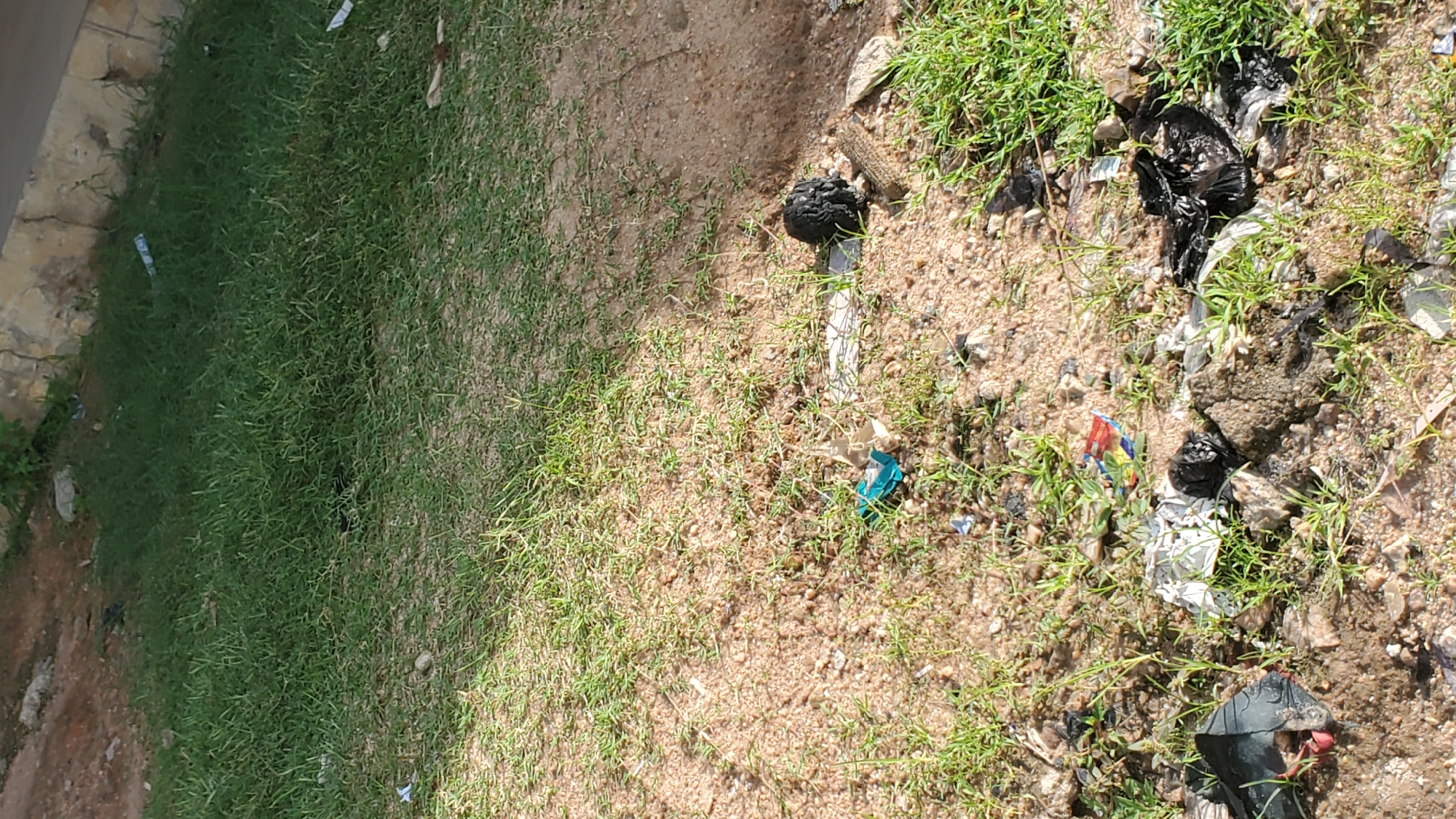 The image depicts an outdoor scene in Jalingo, Nigeria, characterized by overgrown grass and scattered debris. The ground appears to be a mix of sand and dirt, with patches of sparse green grass growing throughout.
Prominently visible are various pieces of litter, including crumpled plastic bags, wrappers, and other unidentifiable trash. In the center of the frame, a small blue plastic object is visible. Further to the right, a dark, balled-up piece of material, possibly a plastic bag or other waste, rests on the ground. The overall impression is one of neglect and untidiness. The background shows a slight incline with some larger rocks or concrete elements, and more grass. Sunlight casts shadows, indicating it is daytime. There are no people or animals present in the image.