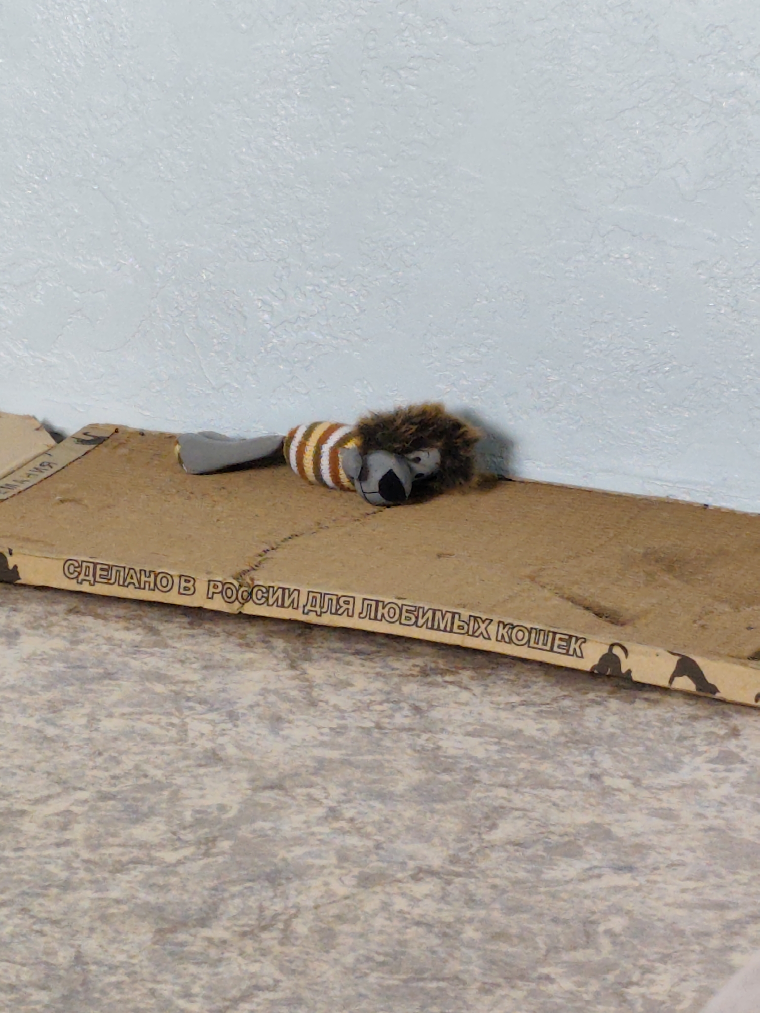 This image captures an indoor scene in the city of Chaikovsky, Russia, depicting a domestic setting. The background features a light blue-grey wall with a textured, possibly stucco or rough plaster, finish. In the mid-ground, a piece of corrugated cardboard, likely a cat scratcher, rests against the wall on the floor. The cardboard shows signs of wear and has text printed in black capital letters that reads "СДЕЛАНО В РОССИИ ДЛЯ ЛЮБИМЫХ КОШЕК," translating to "MADE IN RUSSIA FOR BELOVED CATS." To the right of this text, multiple black silhouettes of cats in various postures are visible along the edge of the cardboard. A plush toy, resembling a lion or similar feline, lies on its side on the cardboard scratcher. The toy has a dark brown shaggy mane, a grey face with stitched eyes and nose, a body covered in alternating white and orange-brown knitted stripes, and a grey tail. Its head is oriented towards the left. The foreground consists of a floor covered in what appears to be linoleum or a similar resilient material, exhibiting a mottled, abstract pattern in shades of grey, beige, and light brown. No people are visible, and no actions or interactions are currently occurring in the static scene.