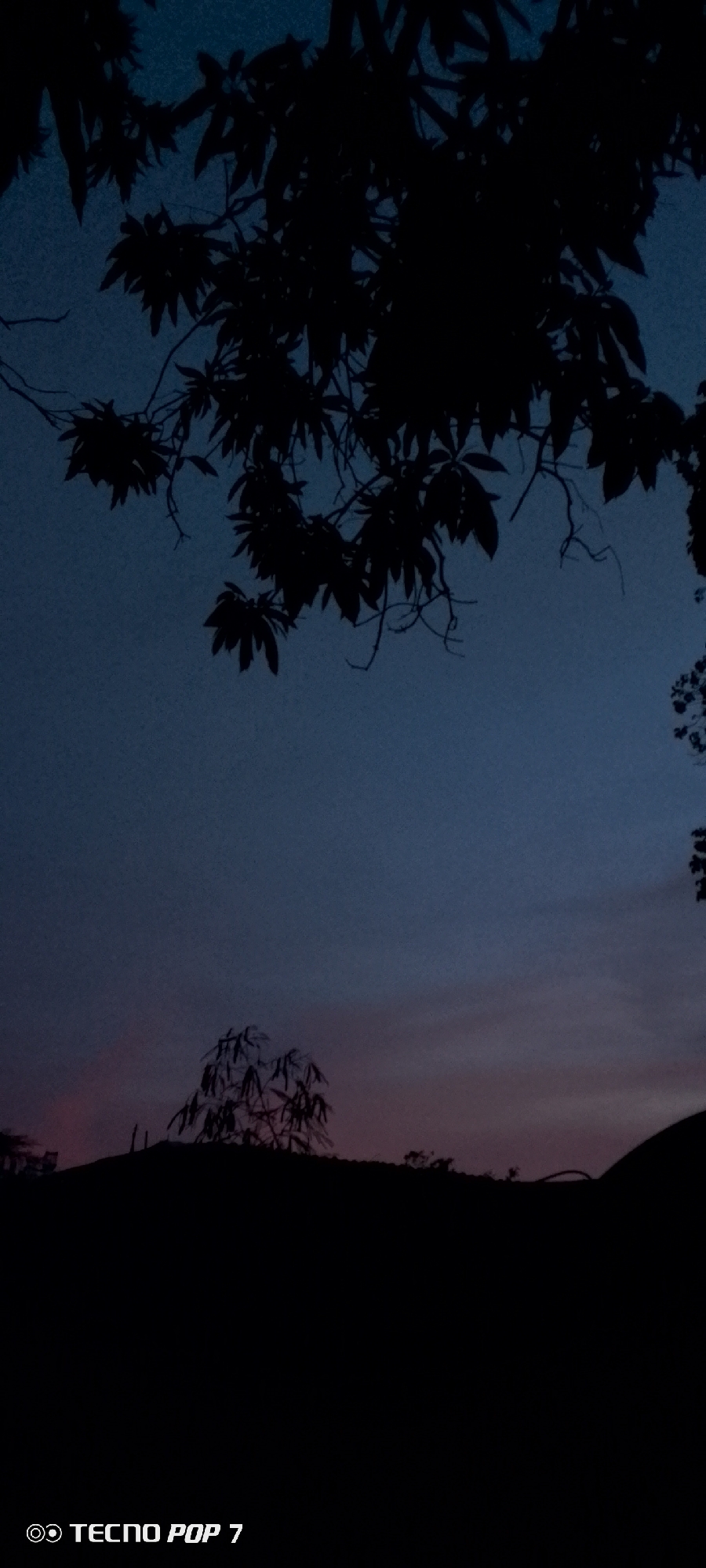 The image shows a view in Altagracia, Venezuela, at dusk or dawn. A dark silhouette of a tree with large leaves dominates the top portion of the frame. The sky is a gradient of dark blue to a softer purple and pink near the horizon. In the middle distance, a darker landmass is visible with the outline of another tree silhouetted against the sky. The foreground is mostly obscured in darkness. The text "TECNO POP 7" appears in the lower-left corner of the image.