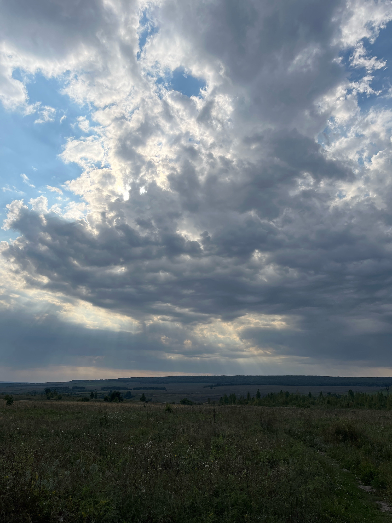 The image captures a wide-angle view of a rural landscape in Novoe Kashirovo, Russia. The foreground consists of a dense field of tall, dry grass and wildflowers, with a faint dirt path visible on the right. In the mid-ground, a treeline separates the field from a flatter expanse of land, likely agricultural fields, stretching towards a distant, dark, undulating horizon line formed by hills or a forest. The sky dominates the upper two-thirds of the image, filled with a dramatic arrangement of clouds. Light rays, or crepuscular rays, pierce through gaps in the heavy grey and white cloud cover, creating a striking contrast and illuminating parts of the sky and the landscape below. The overall mood is subdued and atmospheric, suggesting a late afternoon or early evening setting with changing weather. There are no people or animals visible in the scene.
