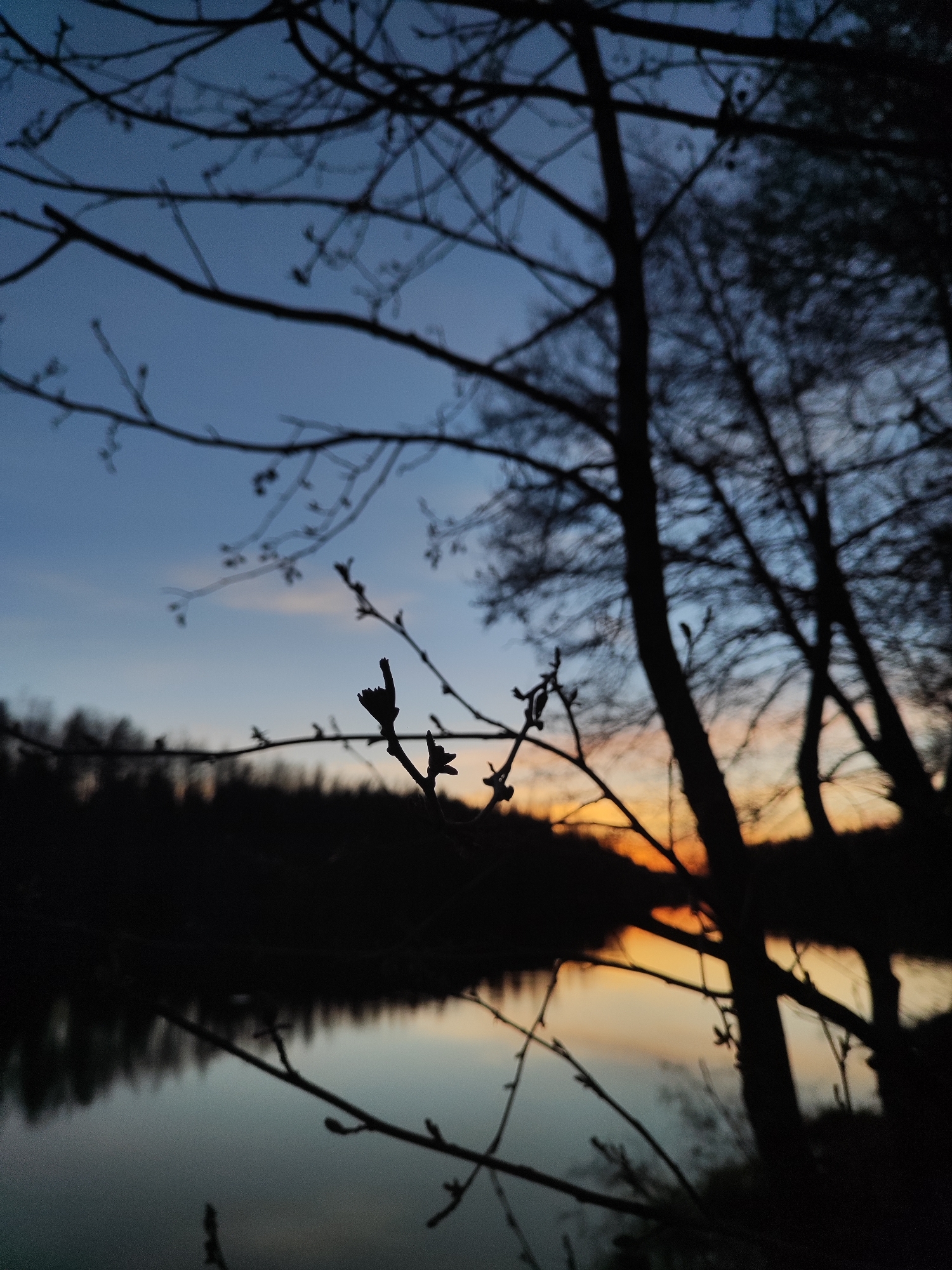 A low-angle shot depicts silhouetted tree branches against a twilight sky and water. The sky transitions from blue to orange near the horizon, which is reflected in the water's surface. The dark silhouette of a forest line is visible across the water. The location is not identifiable and is not in the city of Unknown, Unknown.