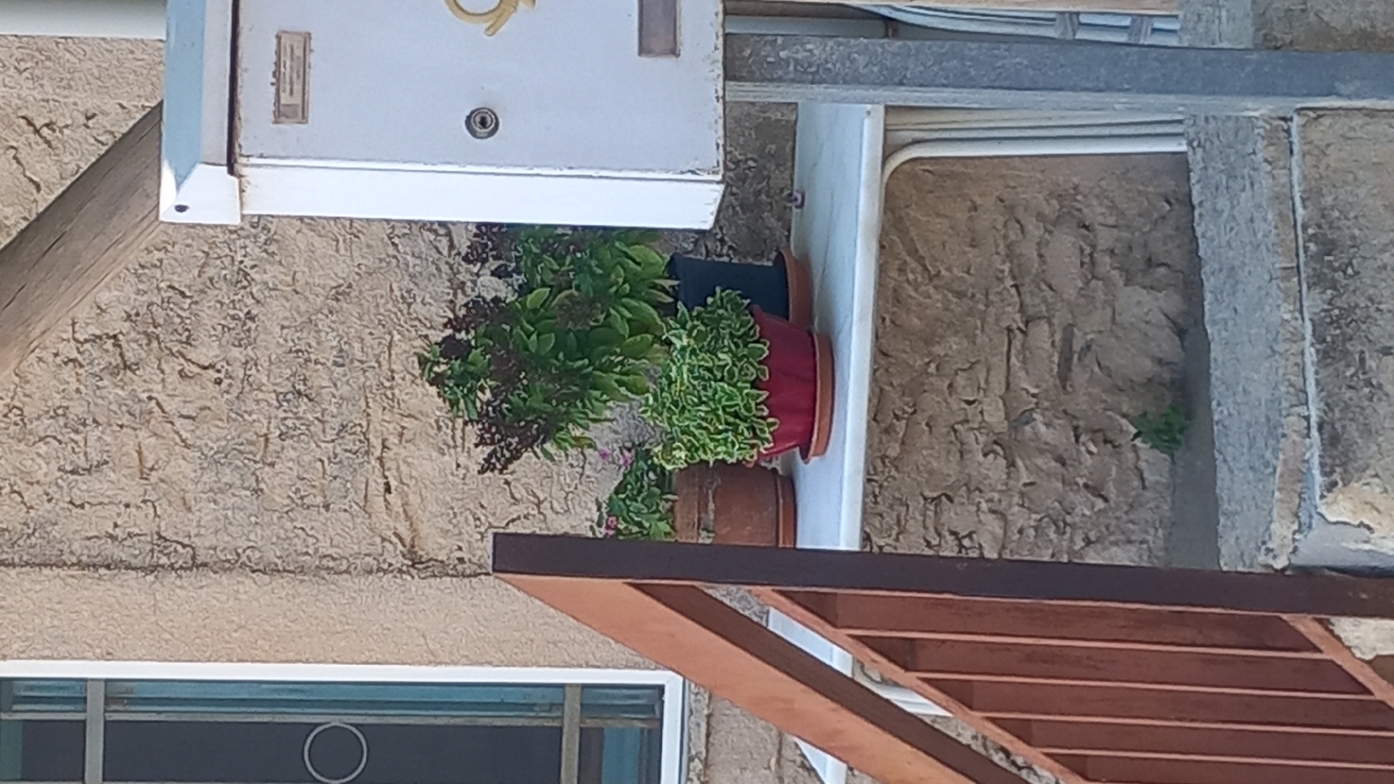 The image depicts an outdoor scene with a rough-textured stone wall as the backdrop. In the foreground, a wooden railing, likely part of a staircase or balcony, is visible on the left. A white table or shelf is positioned against the wall, holding several potted plants.
On the table, from left to right, is a terracotta pot containing a plant with small pink flowers. Next to it is a red planter with a bushy green plant featuring white-edged leaves. Behind these, in a black pot, is a taller plant with dark purple flower spikes and green leaves. To the right of the plants, a white mailbox is mounted on a grey pole. The mailbox has a circular lock mechanism and a slot for mail. The ground below the table appears to be paved or made of stone. A small, green plant grows wild near the base of the wall.
The overall impression is a somewhat rustic setting, possibly a residential exterior. The lighting suggests it is daytime. The location is identified as Platani, Greece.