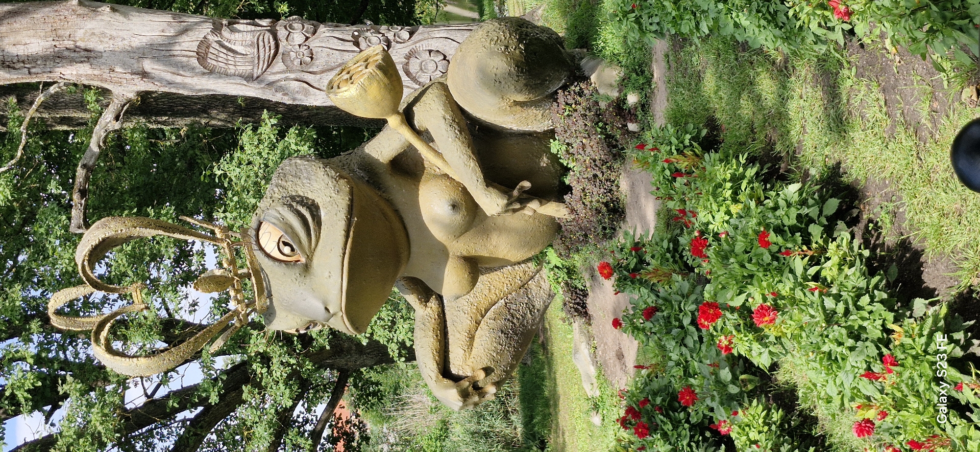 The image shows a large, stylized sculpture of a frog wearing a golden crown. The frog is depicted in a seated position, with its legs bent and its arms resting on its lap. It has a slightly stern expression and prominent eyes. The sculpture is colored a muted green and appears to be made of a textured material. The frog is also wearing a golden crown with heart-shaped elements. In its left hand, the frog holds a golden object resembling a dried lotus flower. The sculpture is situated outdoors, in a garden setting. In front of the sculpture, there is a flower bed filled with vibrant red flowers and green foliage. Behind the sculpture, there is a large tree with visible bark and branches. The ground is covered with grass and some patches of bare earth. The background shows more greenery, including trees and some structures, suggesting it is a park or an outdoor recreational area. The overall impression is of a whimsical art installation in a natural environment. The image also contains a watermark at the bottom left corner that reads "Galaxy S23 FE". The location is confirmed as the city of Pakruojis, Lithuania, part of the manor.