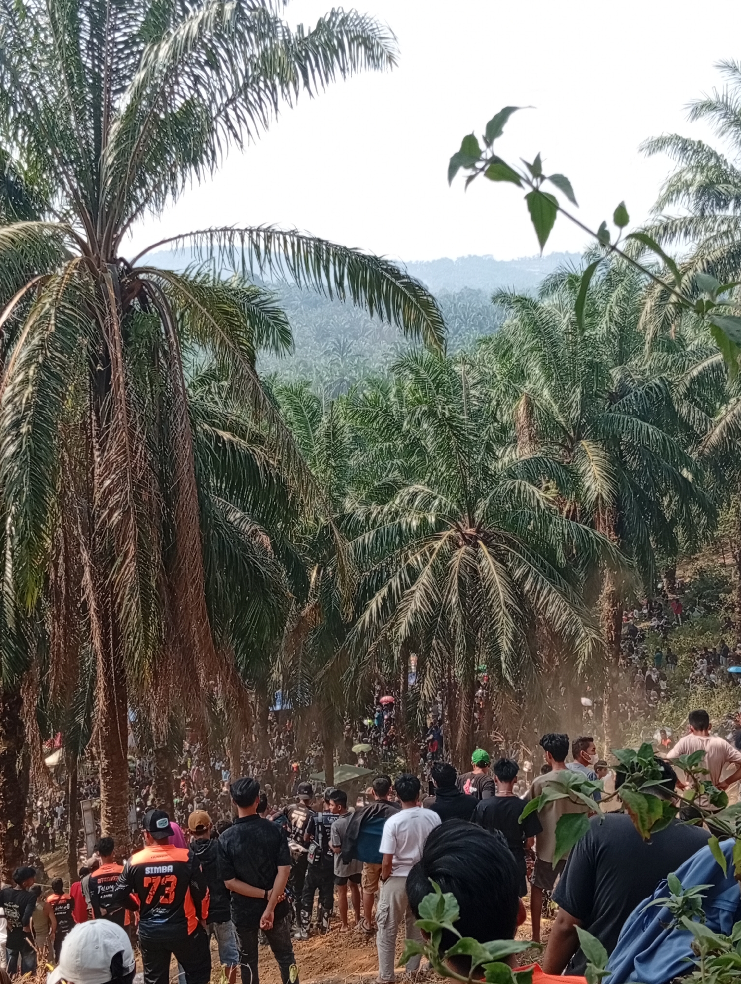 In Sekar Mengkuang, Indonesia, a crowd gathers among palm trees to watch an outdoor event, possibly a race, indicated by dust clouds and onlookers positioned on a slope. The foreground is dominated by several large palm trees with visible fronds, some appearing dry and brown. A group of spectators is visible in the mid-ground and background, some wearing t-shirts with numbers and logos, suggesting participation or association with the event. The environment is rural, with dense vegetation and a hazy mountainous landscape in the distance under a bright sky. The image captures a moment of community engagement in a natural setting.