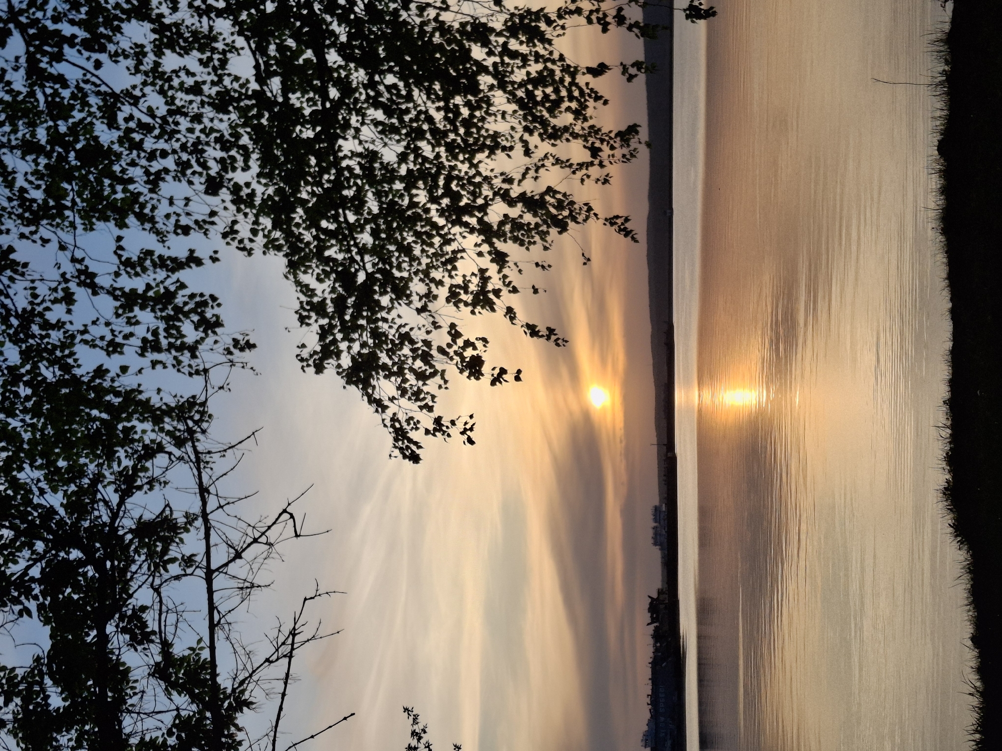 A landscape photograph, taken sideways, shows a sunset view of a body of water, likely a lake or reservoir, framed by trees. The sun is positioned just above the horizon, creating a bright reflection on the water's surface. The sky transitions from blue to shades of orange and gold as it nears the horizon. Silhouetted buildings are visible in the distance on the opposite shore. The foreground is dominated by dark tree branches and leaves, especially in the upper left corner, suggesting the photograph was taken from a wooded area or near a park. The right edge of the image shows dark vegetation along the shoreline. Based on the prompt, the location is likely Chaikovsky, Russia.