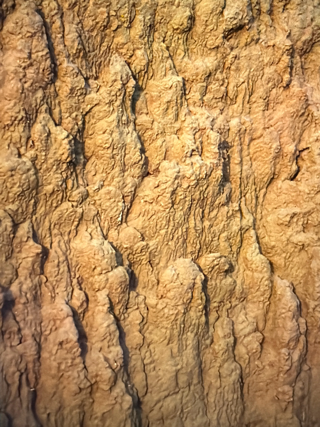 The image shows a close-up, textured surface that appears to be rock or earth. The surface has a rough, uneven texture with various ridges, grooves, and protrusions. The color is predominantly a sandy brown with variations in tone due to shadowing and the texture itself. The lighting casts shadows that accentuate the three-dimensional nature of the surface. This appears to be a natural geological formation. There is no indication of any urban environment or specific location within Kafr Yasif, Israel.