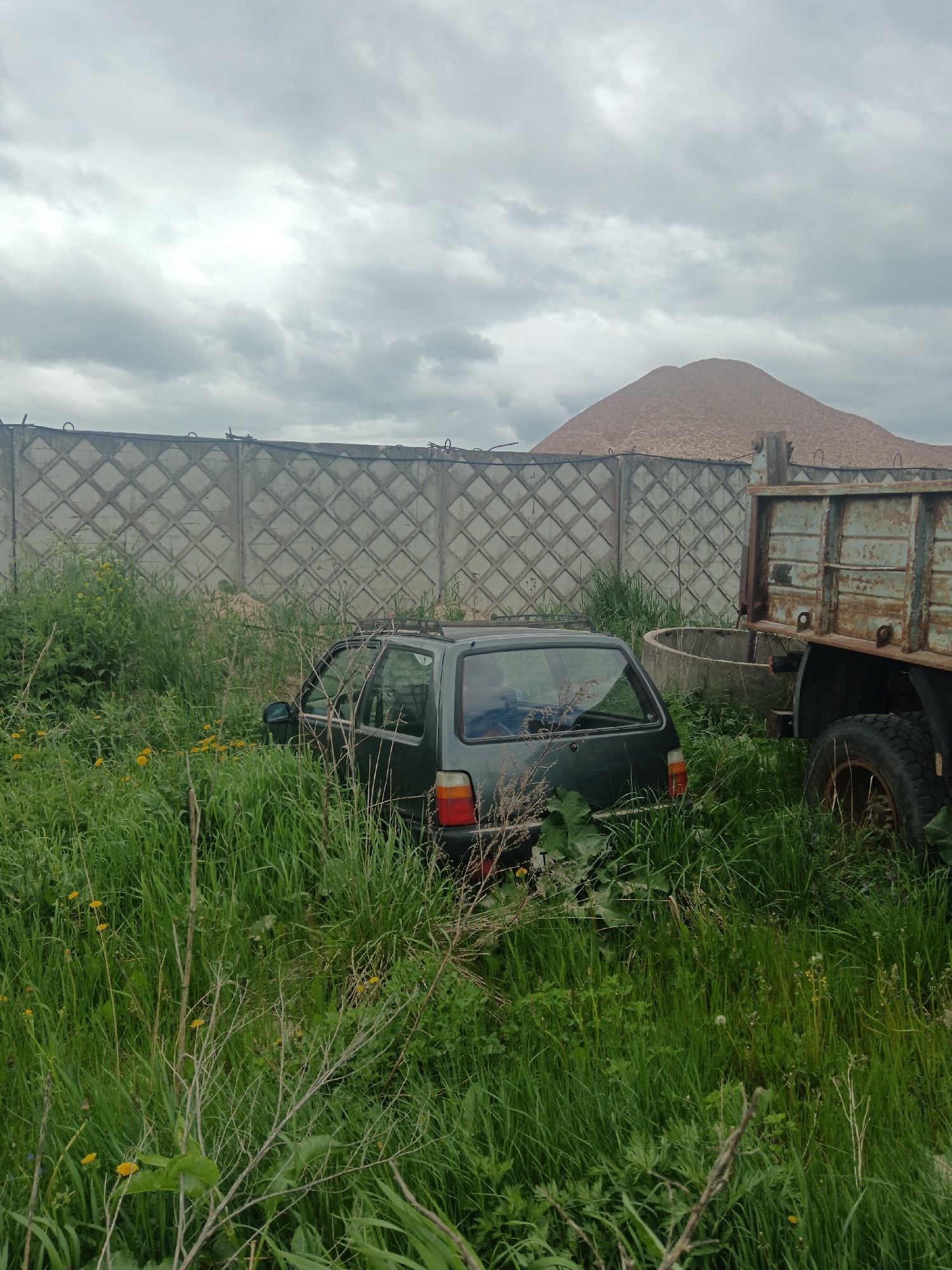 The image shows an overgrown scene in what appears to be Яльгелево, Russia. A small, dark-colored hatchback car is partially obscured by tall green grass and weeds. The vehicle is parked near the back of a rusty truck with a weathered, metal bed. Behind the truck and car, a concrete wall with a diamond pattern runs along the background. Beyond the wall, a large pile of earth or gravel rises. The sky is overcast with gray clouds. There are no visible people. The overall environment suggests neglect and disuse.