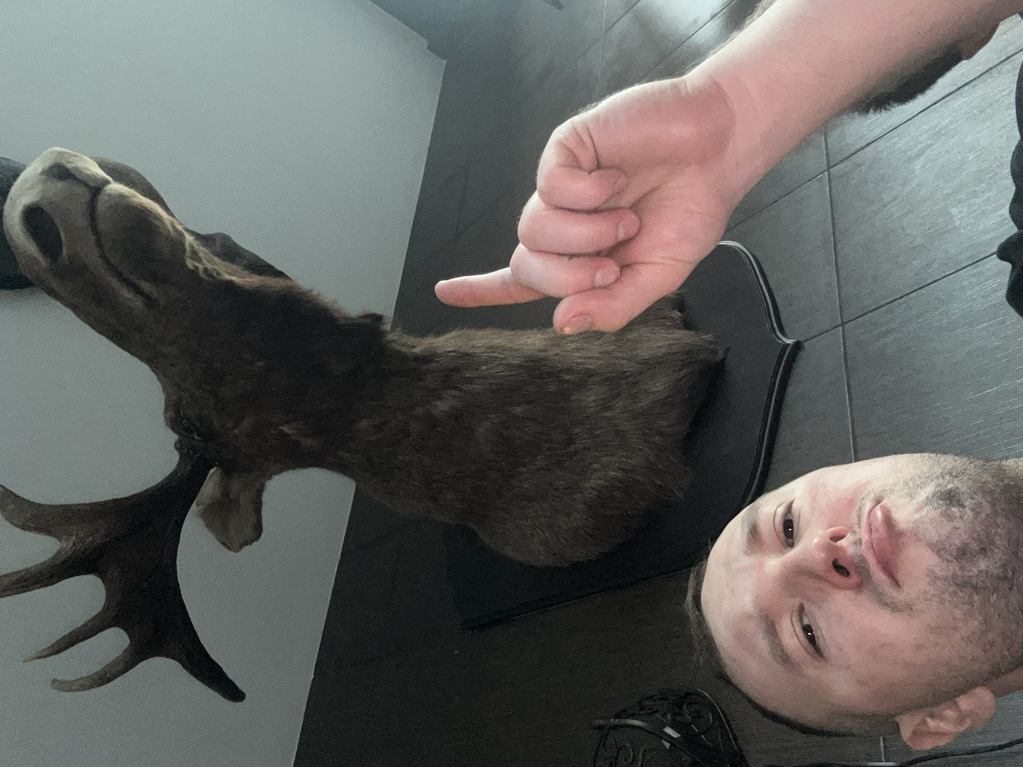 A selfie taken indoors in Chaikovsky, Russia, features a man with short brown hair and a stubbled beard, holding his hand out to point his index finger at a mounted moose head. The moose head, complete with antlers, is mounted on a dark wall. The background includes a light-colored wall on the left and dark flooring. The man is looking at the camera with a slight smirk.