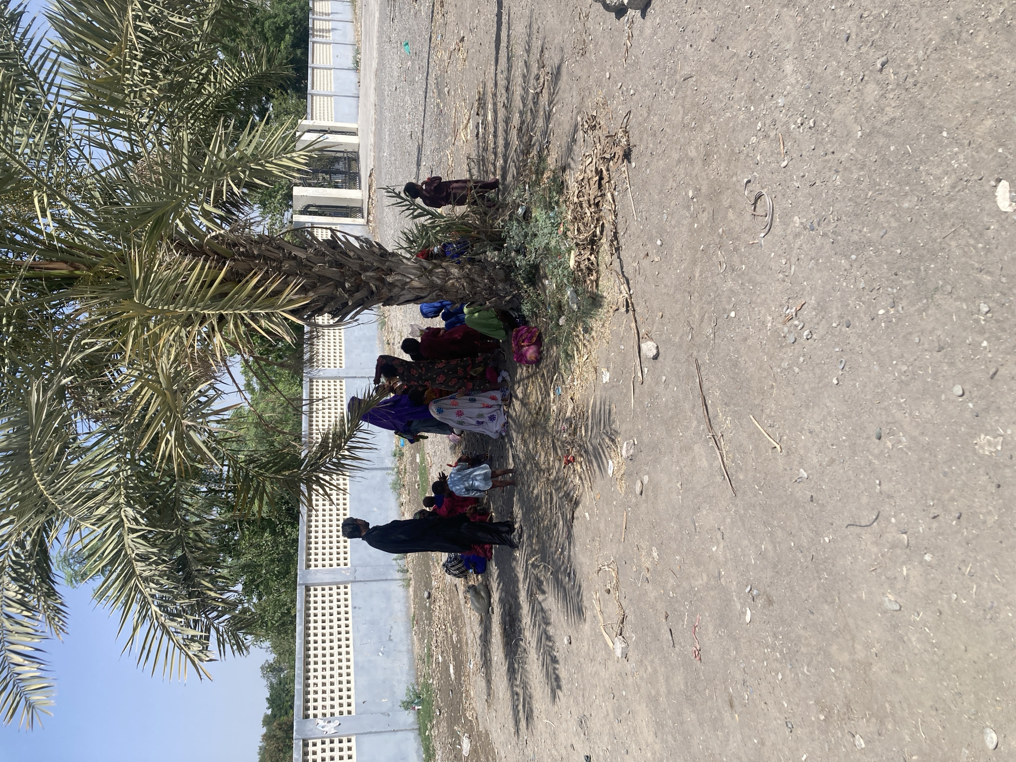 The image captures an outdoor scene in what appears to be a hot, arid environment, identified as Uthal, Pakistan. The central focus is a group of people, predominantly women and children, gathered under the shade of a large date palm tree on the left side of the frame. Most individuals are seated on the dusty, unpaved ground, suggesting they are resting or waiting. One man, dressed in dark clothing, stands near the group, facing away from the viewer. The women are clad in colorful, traditional attire, with some wearing head coverings.
The ground is a mixture of dirt and gravel, with scattered small debris and sparse vegetation around the base of the palm tree. Behind the people and the tree, a light-colored concrete wall with distinct square lattice cutouts runs horizontally across the mid-ground, indicating a boundary or part of a building structure. Beyond this wall, more greenery and trees are visible under a clear, bright blue sky.
The strong, direct sunlight casts sharp, elongated shadows from the palm fronds onto the ground, confirming it is daytime, likely mid-day when the sun is high. The act of seeking shade strongly implies hot weather conditions. There is no visible text in the image. The scene conveys a sense of everyday life, possibly a momentary pause or gathering in a public or semi-public outdoor space.
