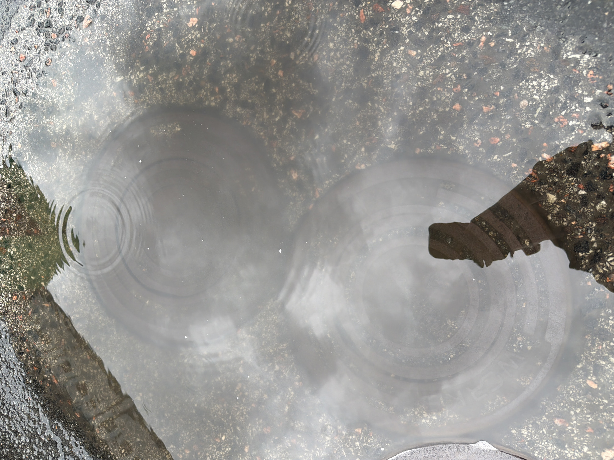 The image shows a puddle of water on asphalt, reflecting the surrounding environment. There are concentric ripples on the surface of the water, indicating that it is raining or has recently rained. In the reflection, a silhouette of a person holding a phone is visible, as well as what appears to be the reflection of buildings and trees. The asphalt itself is coarse-grained, with visible stones and debris. The scene appears to be a street or sidewalk, possibly in an urban setting given the reflected buildings. The location is specified as Tallinn, Estonia.