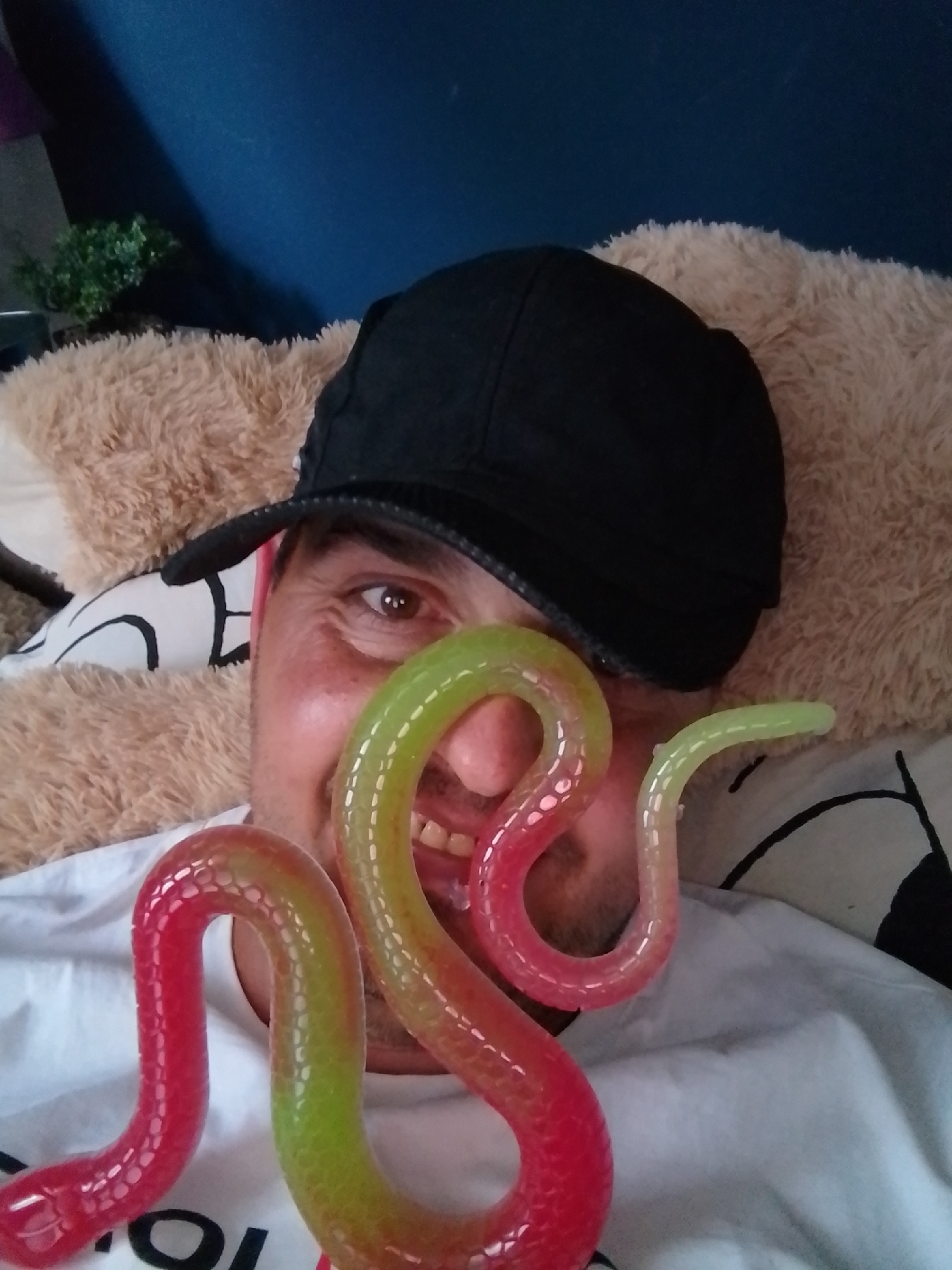 The image is a close-up, slightly angled selfie of a man wearing a black baseball cap and a white t-shirt, lying down and holding a gummy snake candy. The candy is long and flexible, with a red and green gradient. The man is smiling, and the candy is positioned in front of his face, partially obscuring his nose and mouth. He is surrounded by plush, tan-colored fabric, which appears to be a large teddy bear or cushion. A dark blue wall is visible in the background, with a small green artificial plant on a shelf to the left. The image is taken indoors, likely in a domestic setting. There is no specific indication of the location in the city of Wedel, Germany.