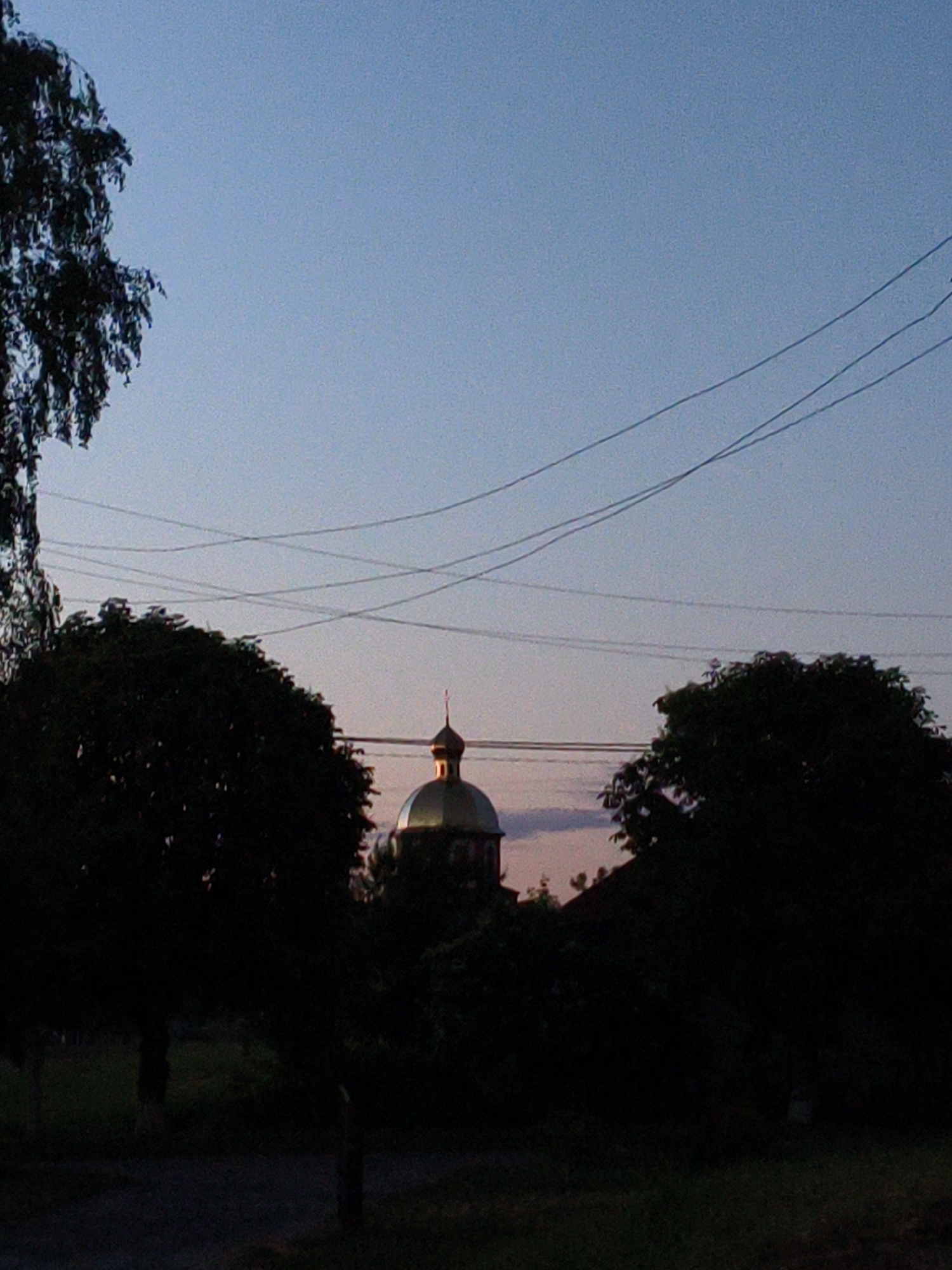The image presents a tranquil outdoor scene at twilight, likely either during sunrise or sunset, indicated by the soft, transitioning light. The sky, a clear and pale blue in the upper portion, gradually shifts to a very faint pinkish-orange hue closer to the horizon.
In the foreground and mid-ground, dense masses of trees are silhouetted, appearing dark and almost black against the brighter sky. A prominent tree branch with visible foliage extends from the top-left. Peeking out from behind the trees in the mid-ground is a distinctive architectural element: a golden or bronze dome, topped with a small spire and a cross, suggesting a church or similar religious building, possibly of Orthodox style. Multiple thin, dark power lines crisscross irregularly across the sky, running above and between the trees. The lower part of the image, beneath the trees, is dark and indistinct, suggesting shadowed ground or vegetation. No people are visible, and no specific activities are taking place, contributing to a calm and serene atmosphere. There is no visible text in the image.